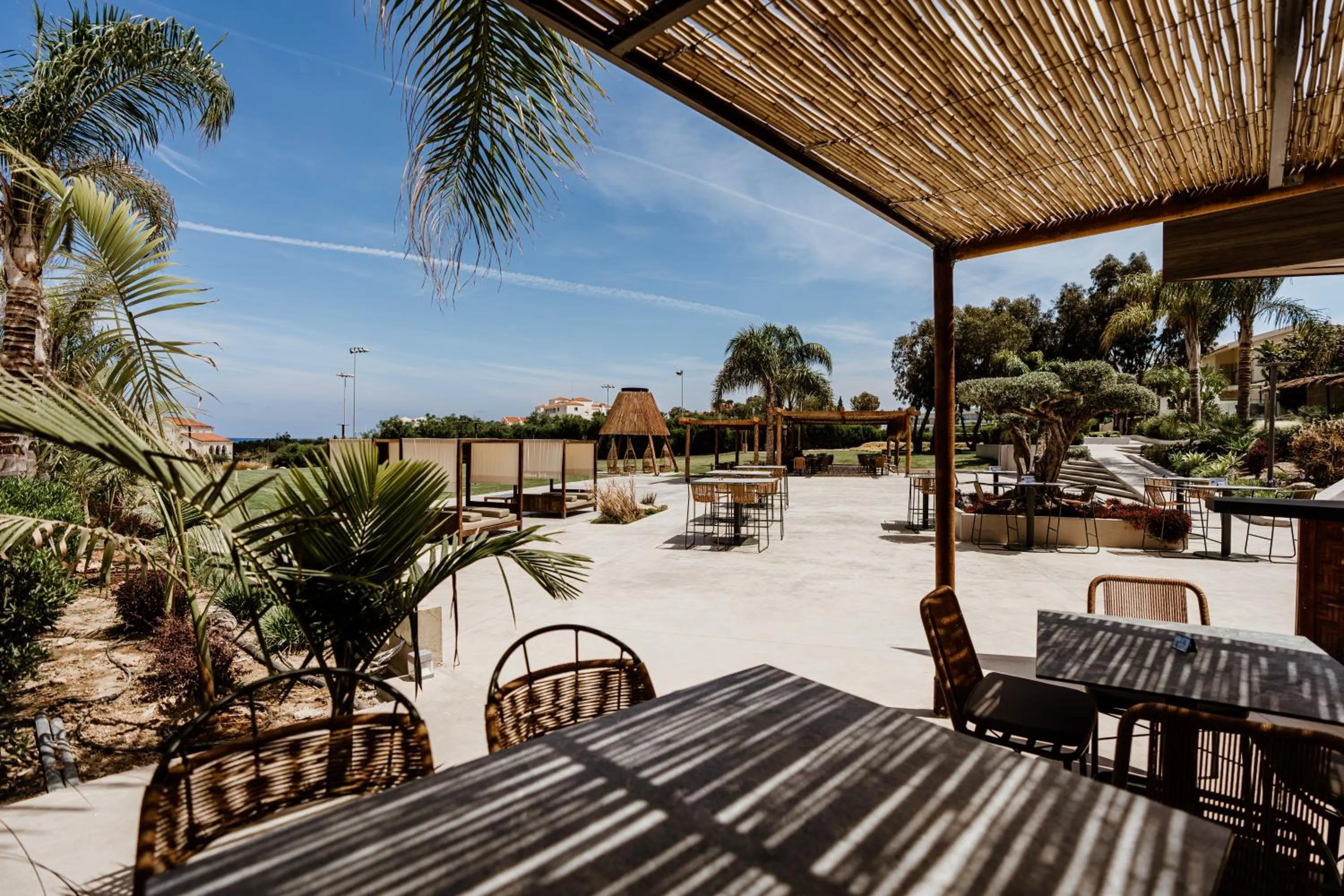 Restaurant/places to eat in Cavo Zoe Seaside Hotel