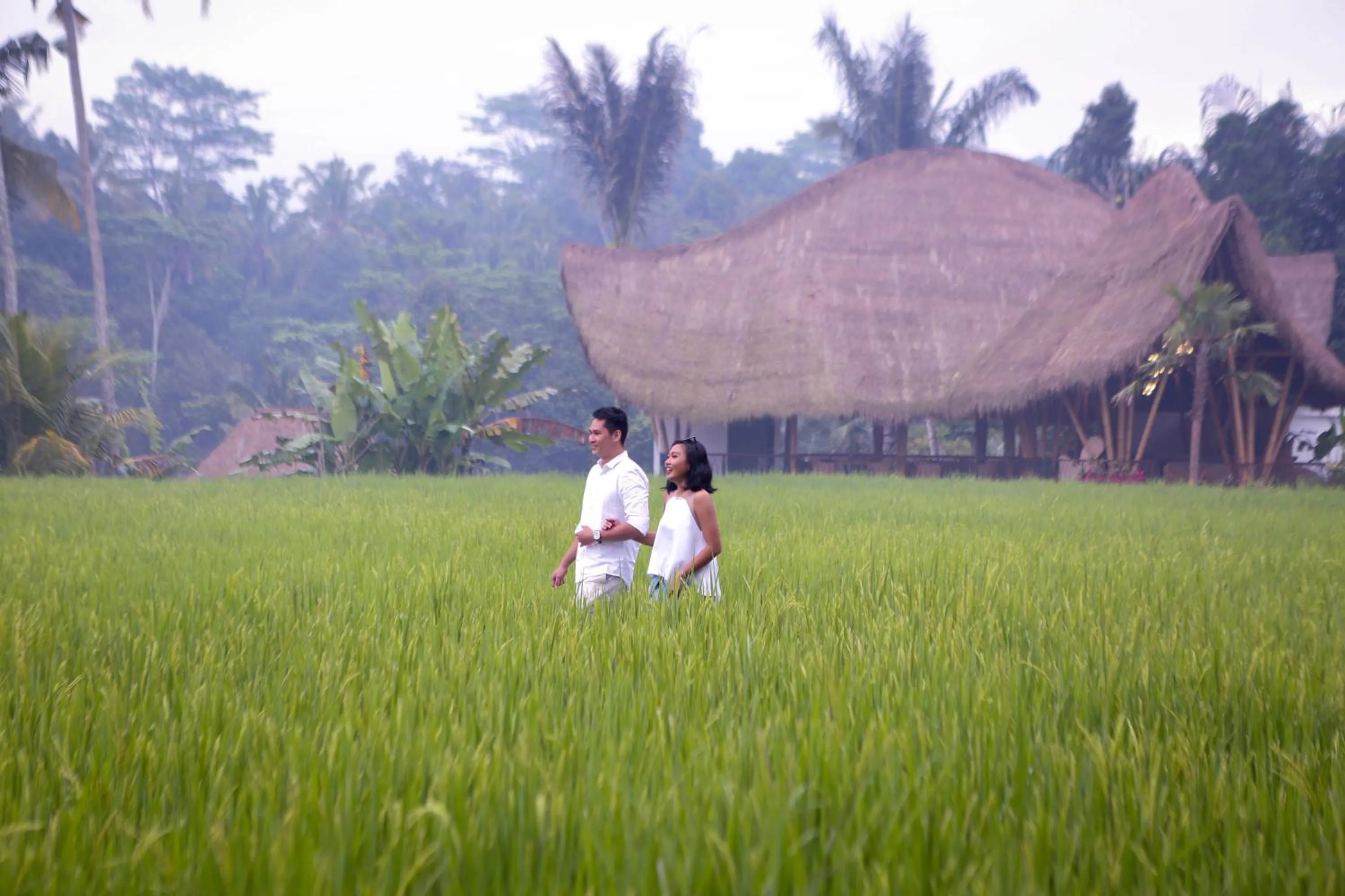 Restaurant/places to eat in Keliki Luxury Lodge