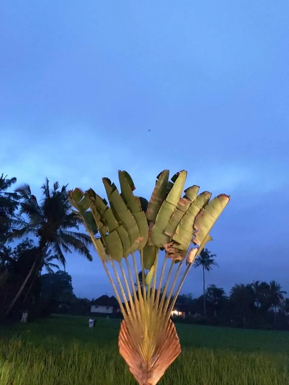 Night in Keliki Luxury Lodge