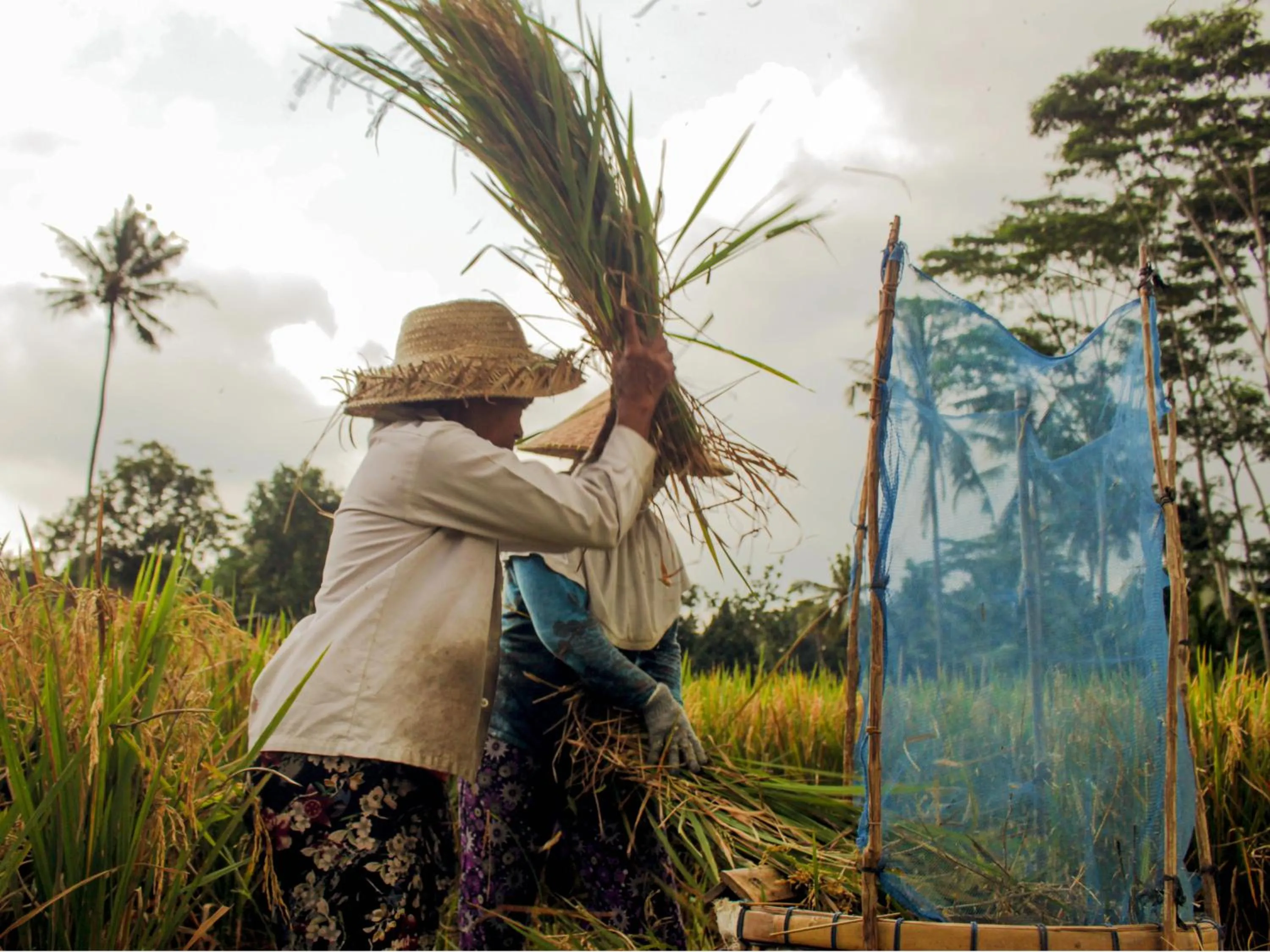 Activities in Keliki Luxury Lodge