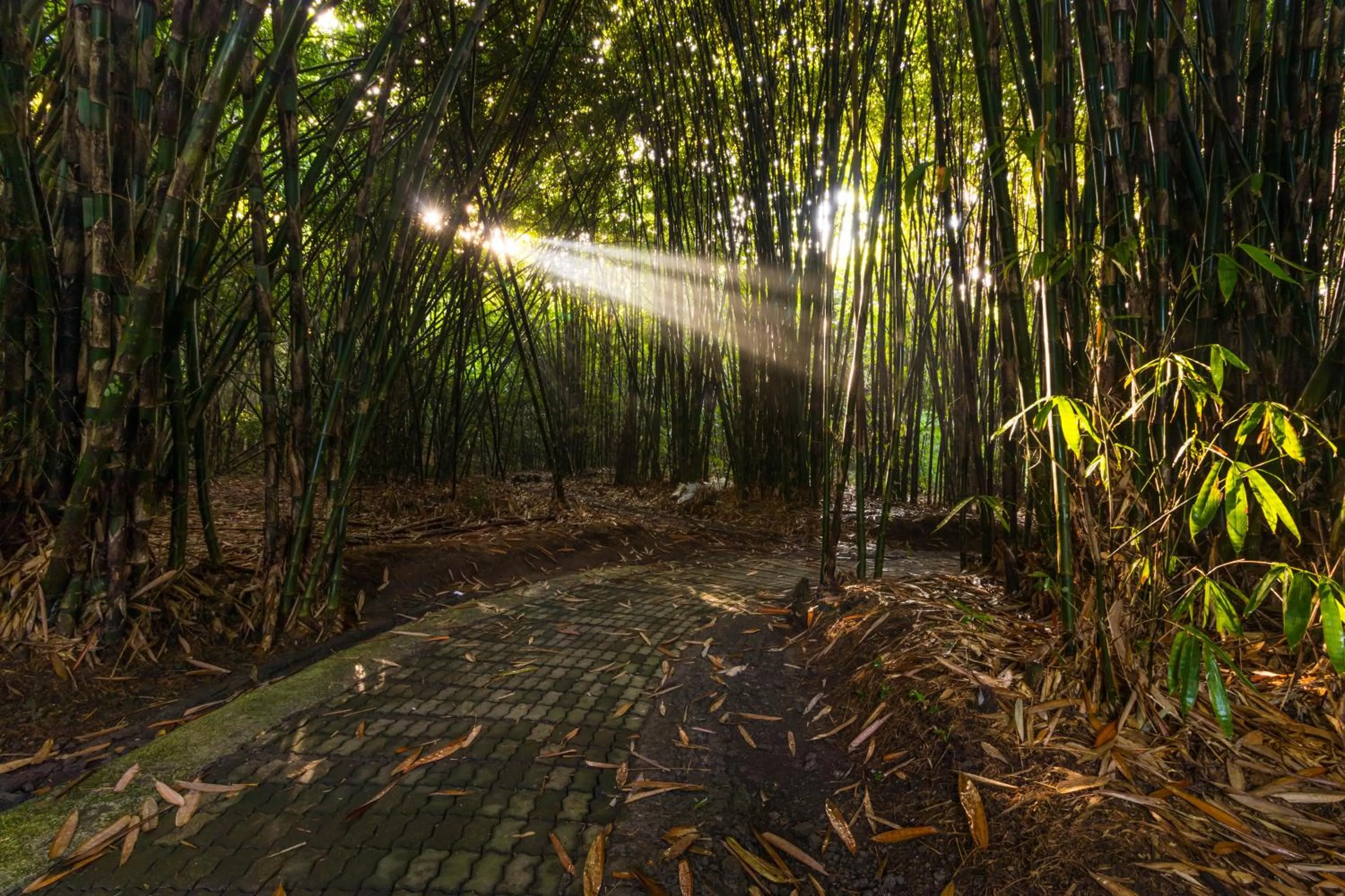 Activities in Keliki Luxury Lodge