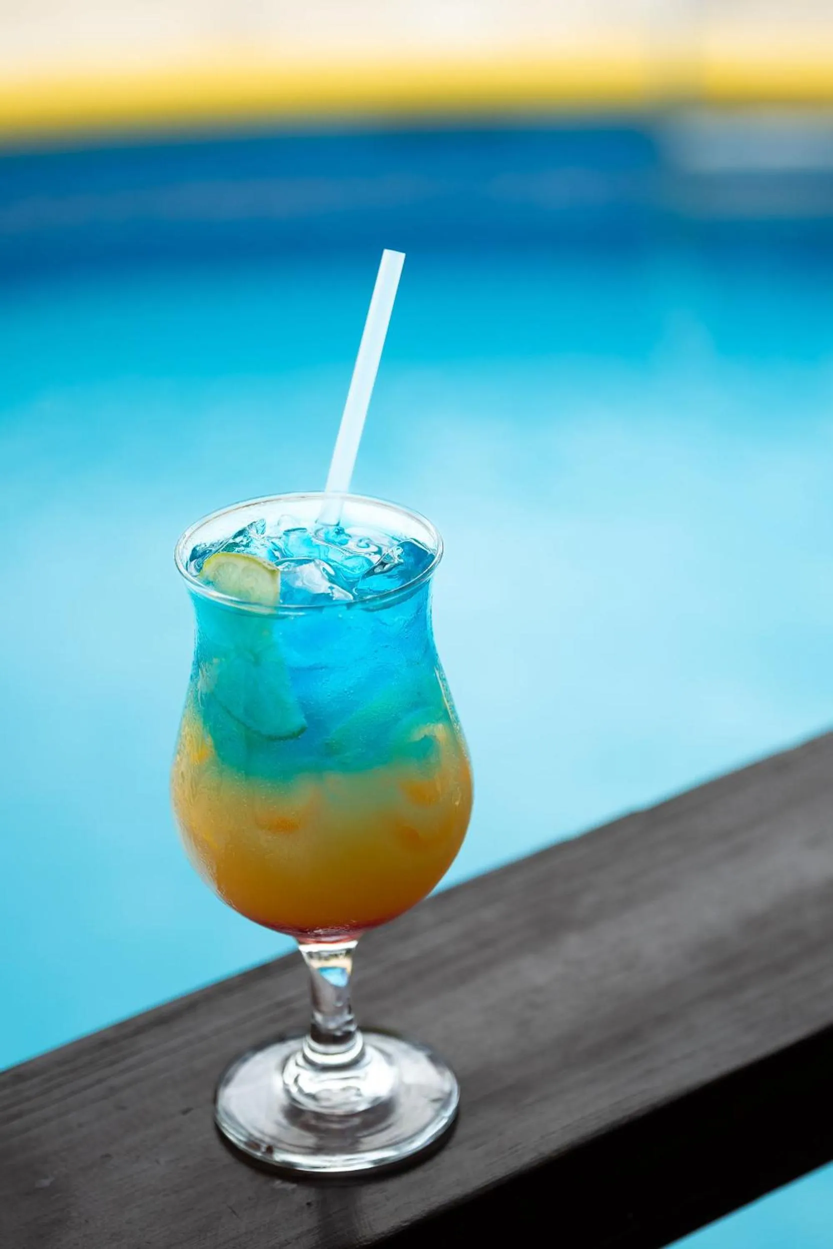 Lounge or bar in Hotel Silvestre