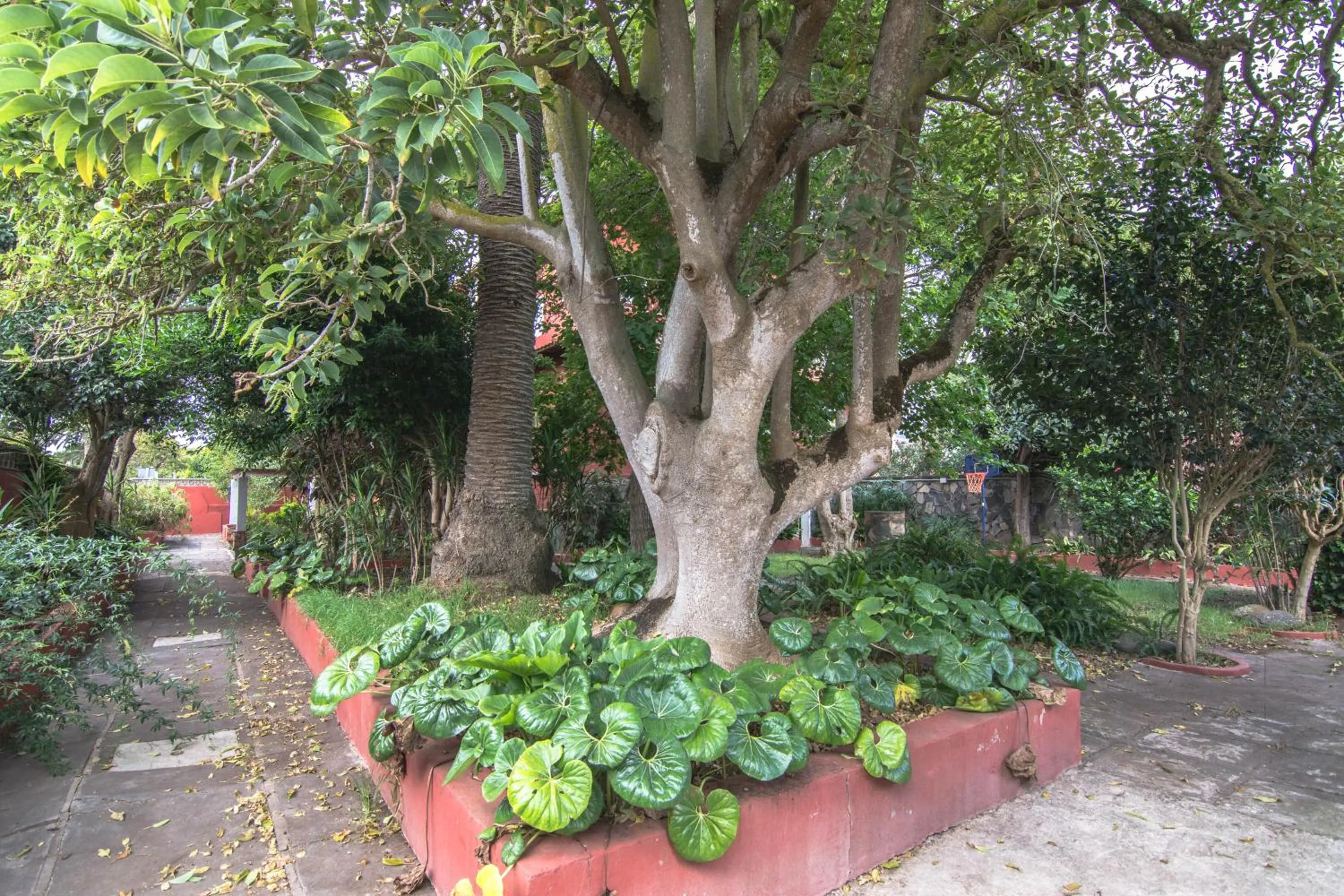 Property building in Villa María