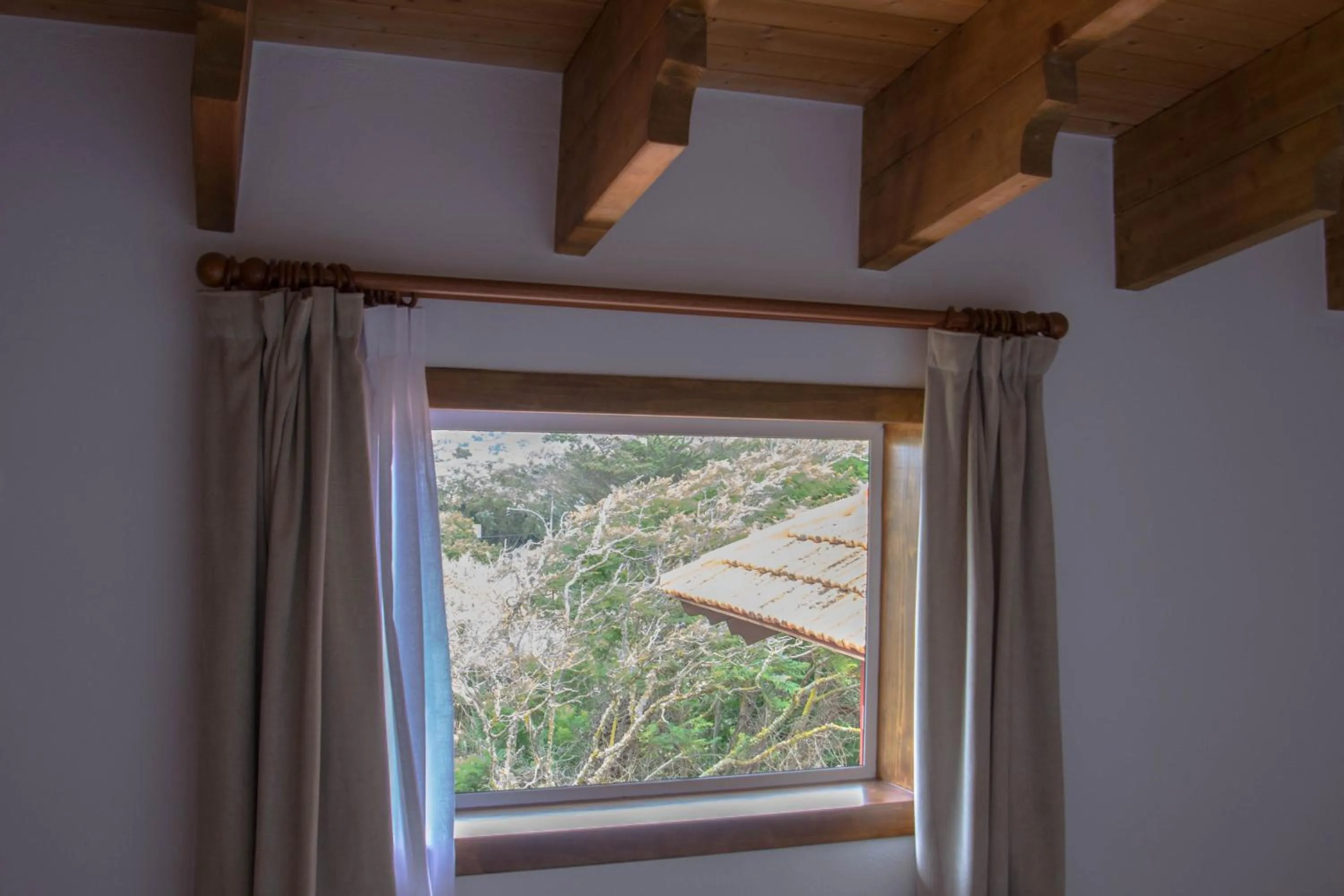 Garden view in Villa María