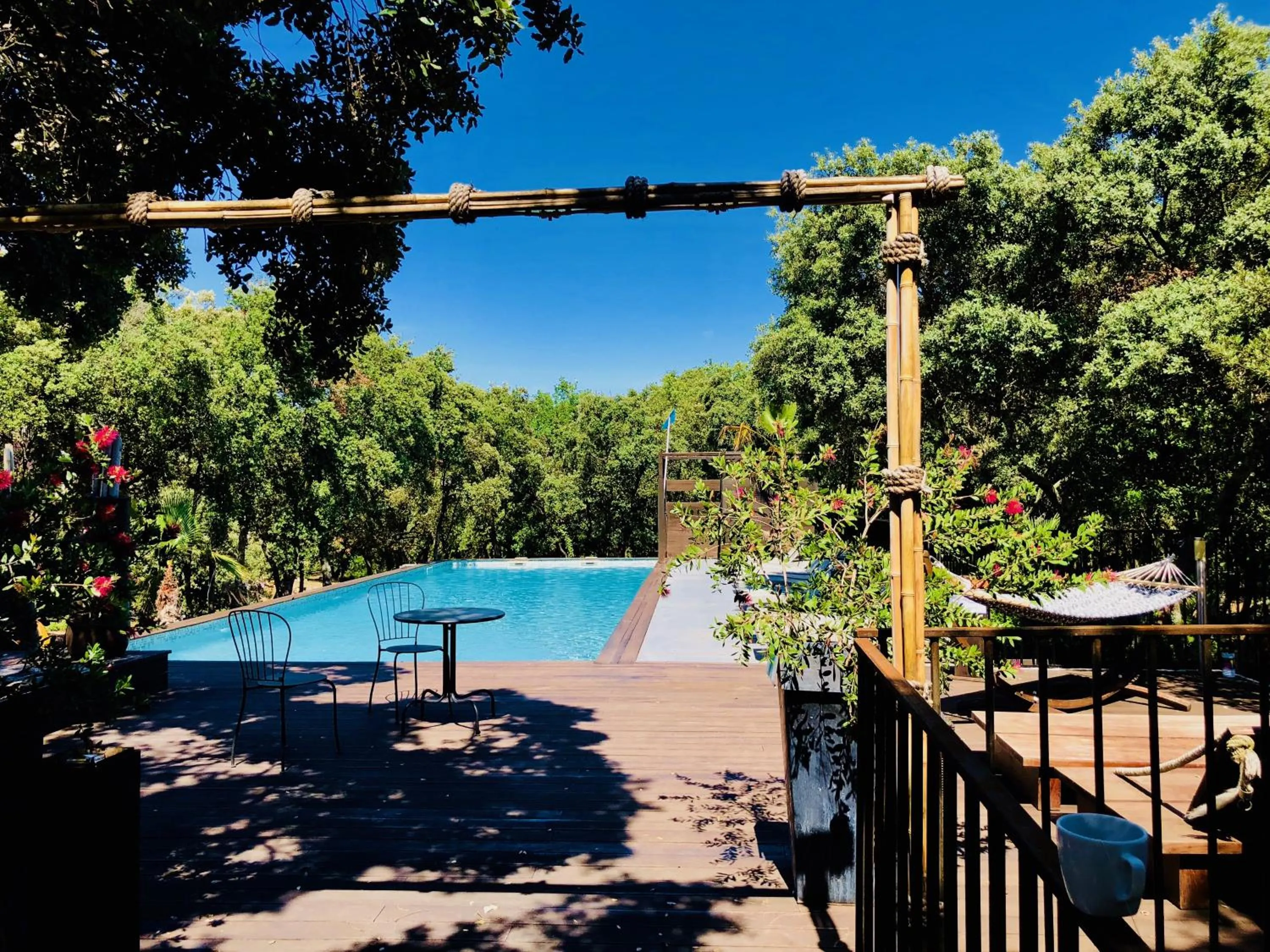 Spring in Hotel restaurant Spa Disini Montpellier Est, The Originals Relais