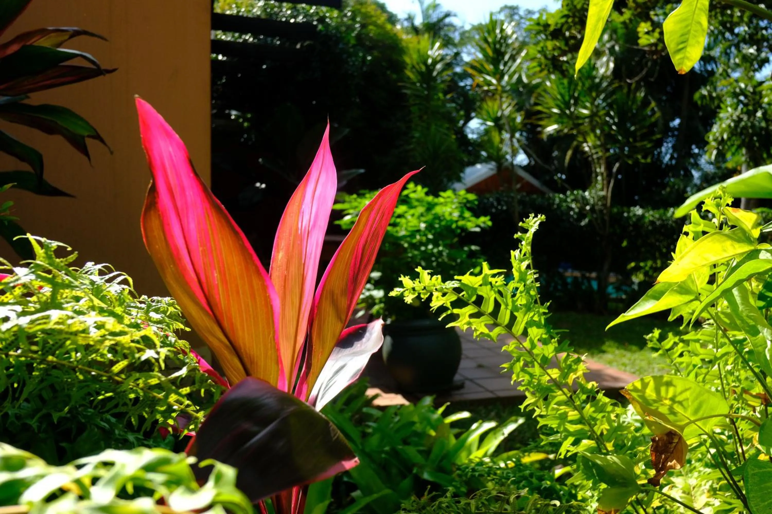 Garden in Santa Lucia Guest House