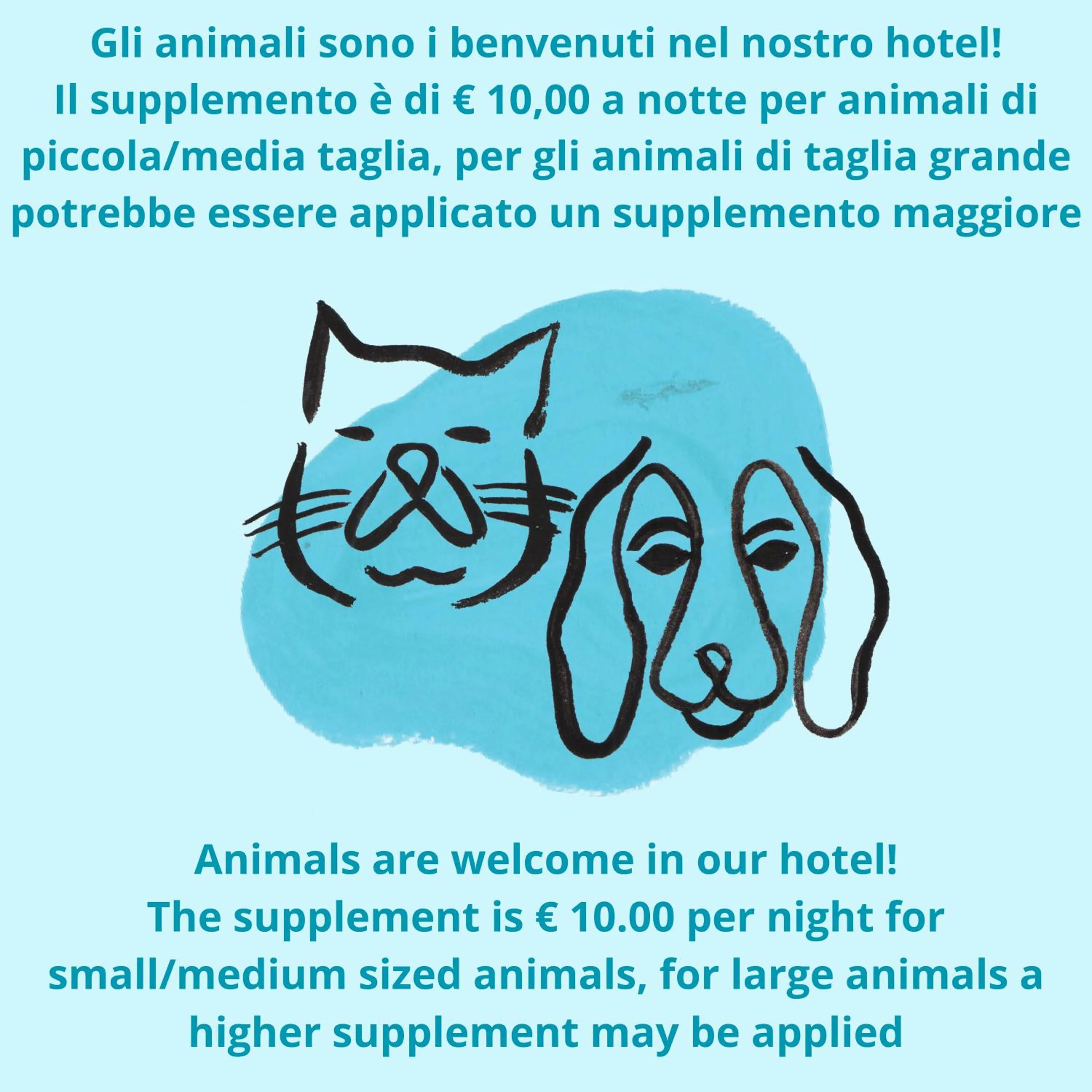 Animals in Hotel Mignon Riccione Fronte Mare
