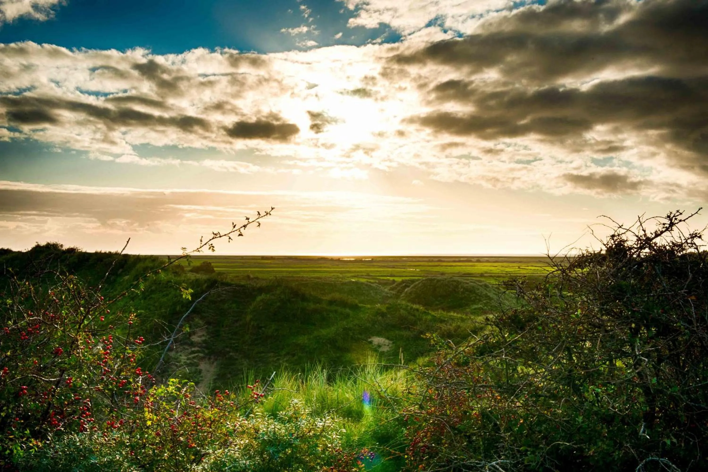 INSEL-LAND-HOTEL MICHAELSEN -Boutique Hotel- im Ostland mit Yoga u Sauna