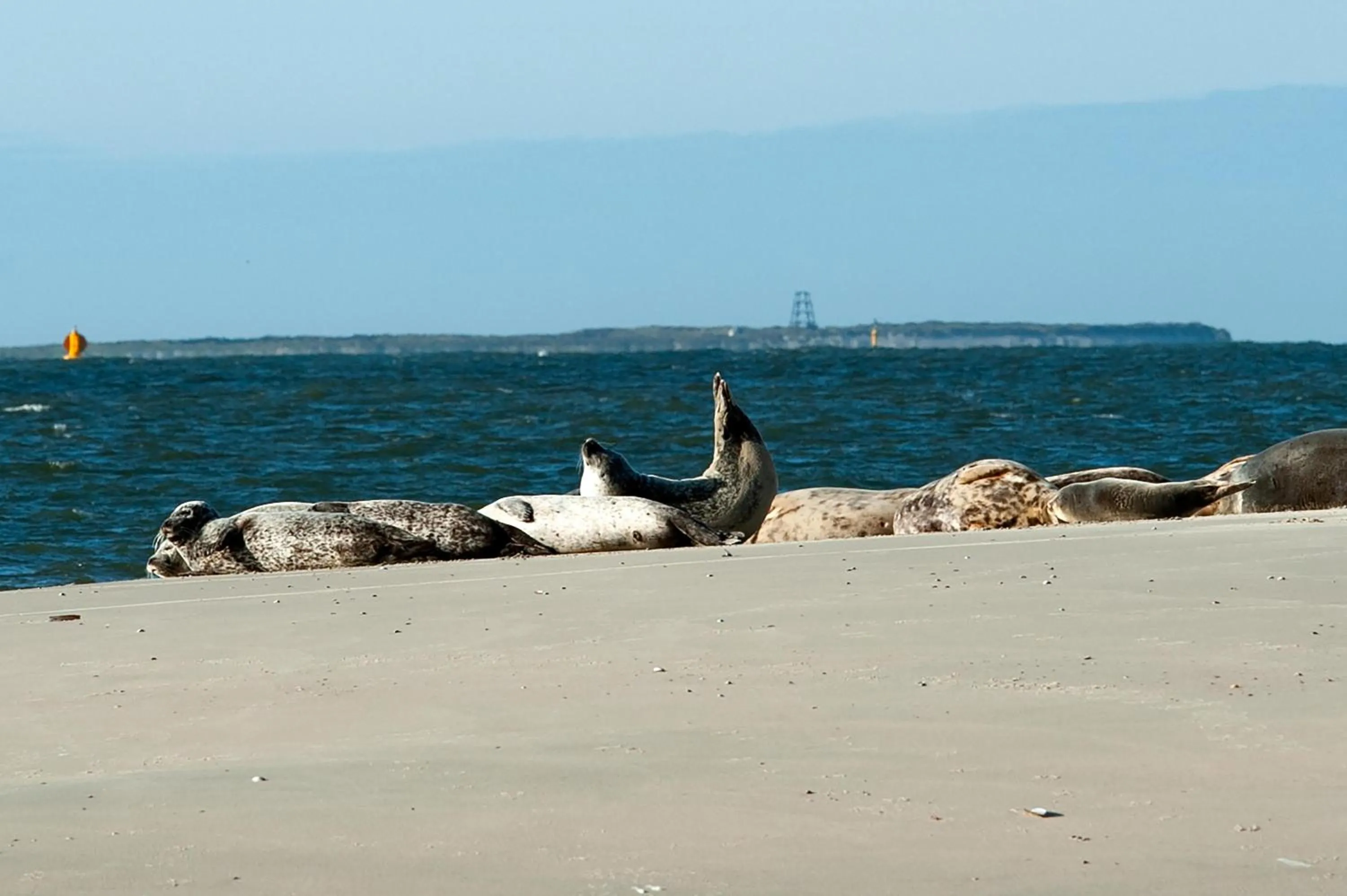 INSEL-LAND-HOTEL MICHAELSEN -Boutique Hotel- im Ostland mit Yoga u Sauna