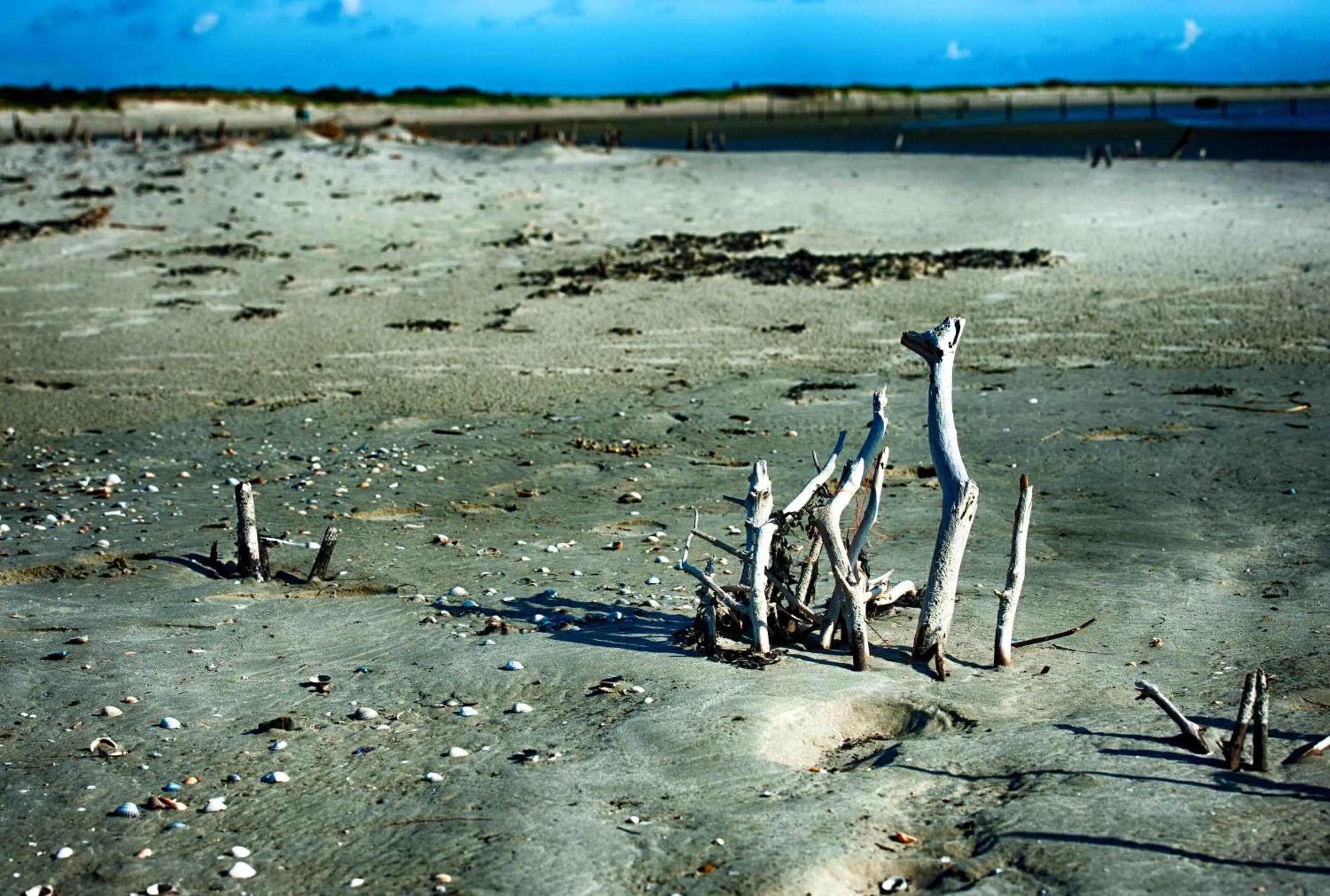 INSEL-LAND-HOTEL MICHAELSEN -Boutique Hotel- im Ostland mit Yoga u Sauna