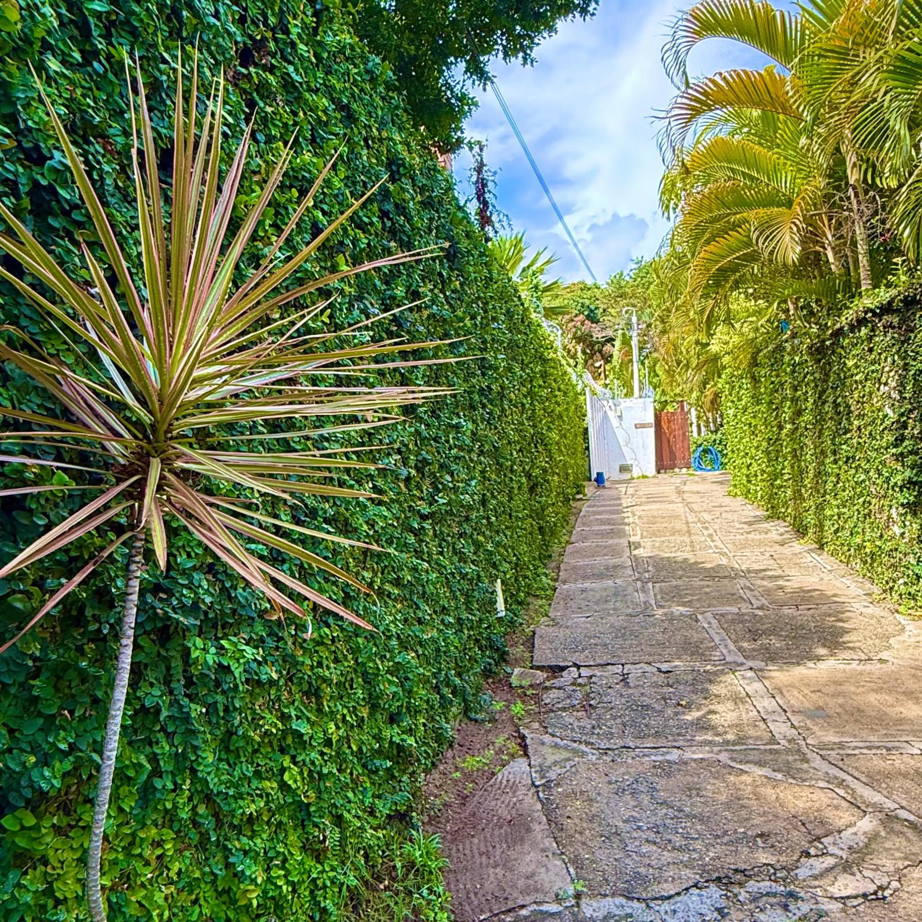 View (from property/room) in La Reserve Design Villa IDA