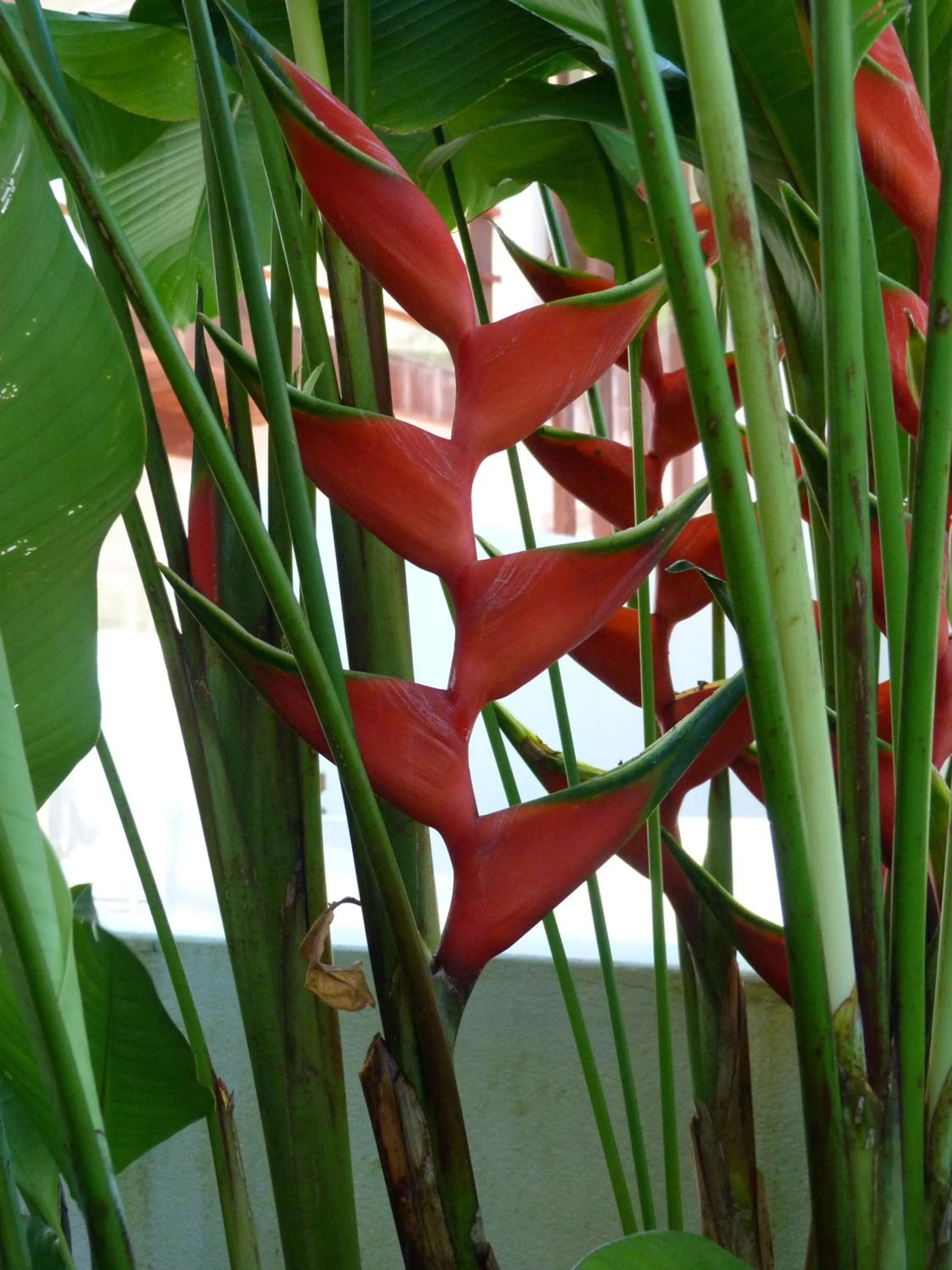 View (from property/room) in La Reserve Design Villa IDA