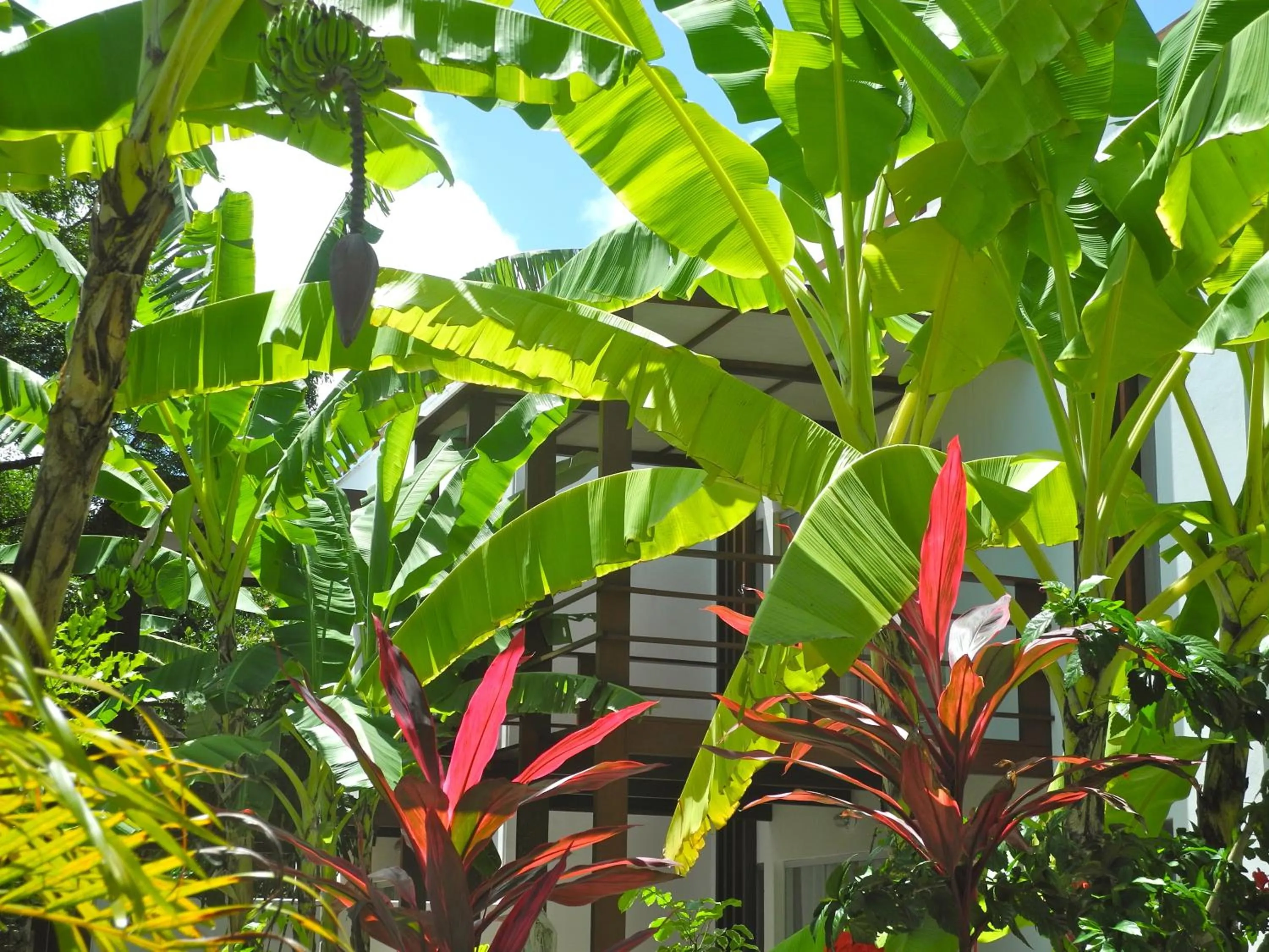 Garden in La Reserve Design Villa IDA