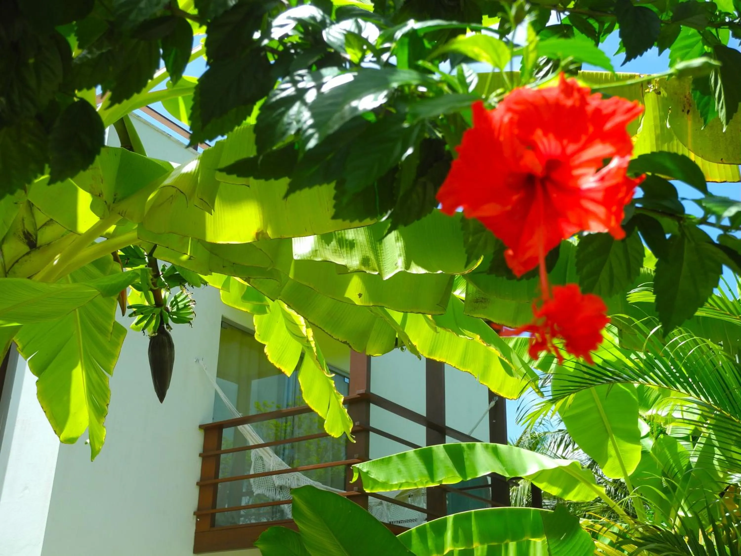 View (from property/room) in La Reserve Design Villa IDA