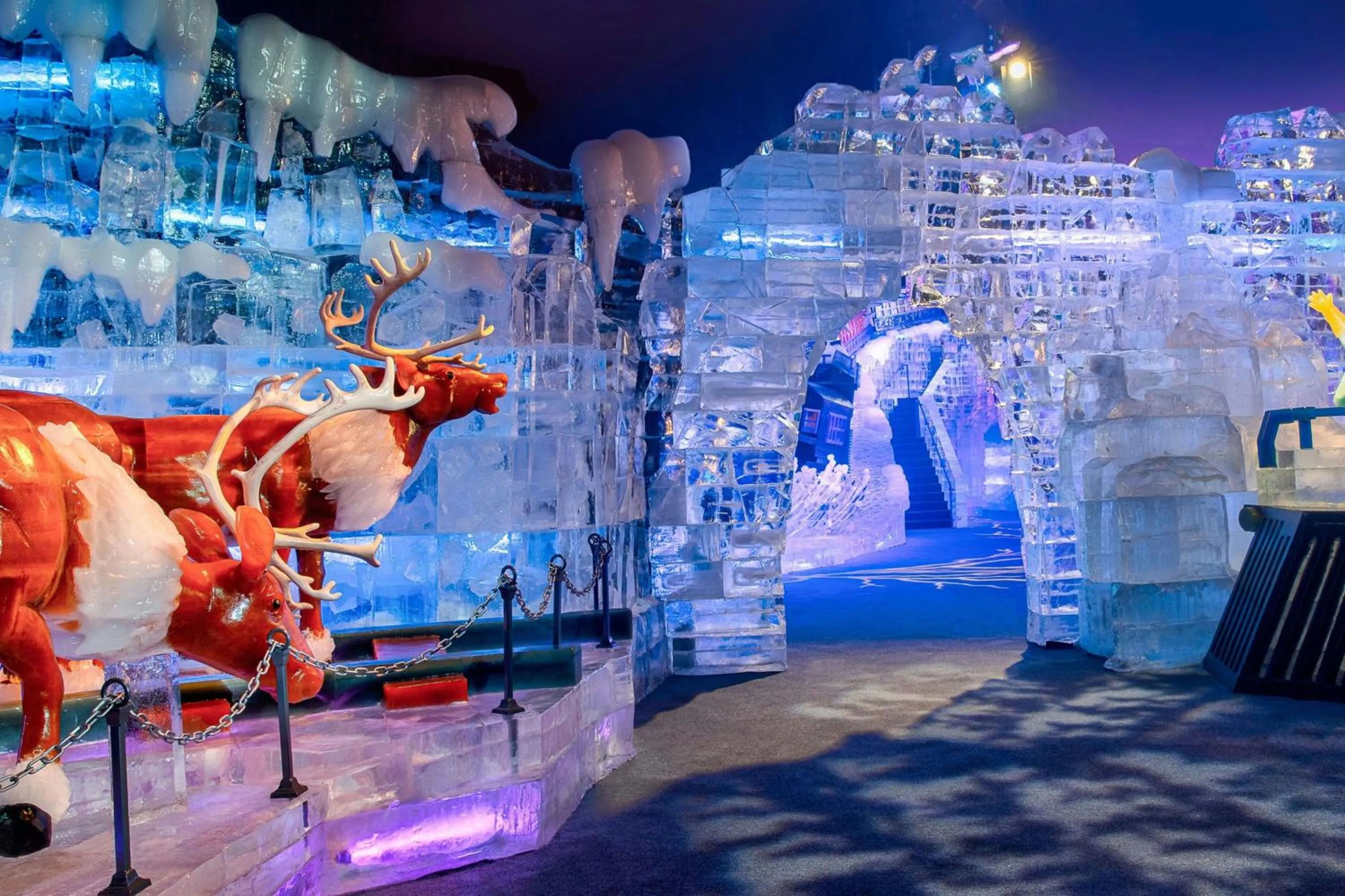 Other in Gaylord National Resort & Convention Center