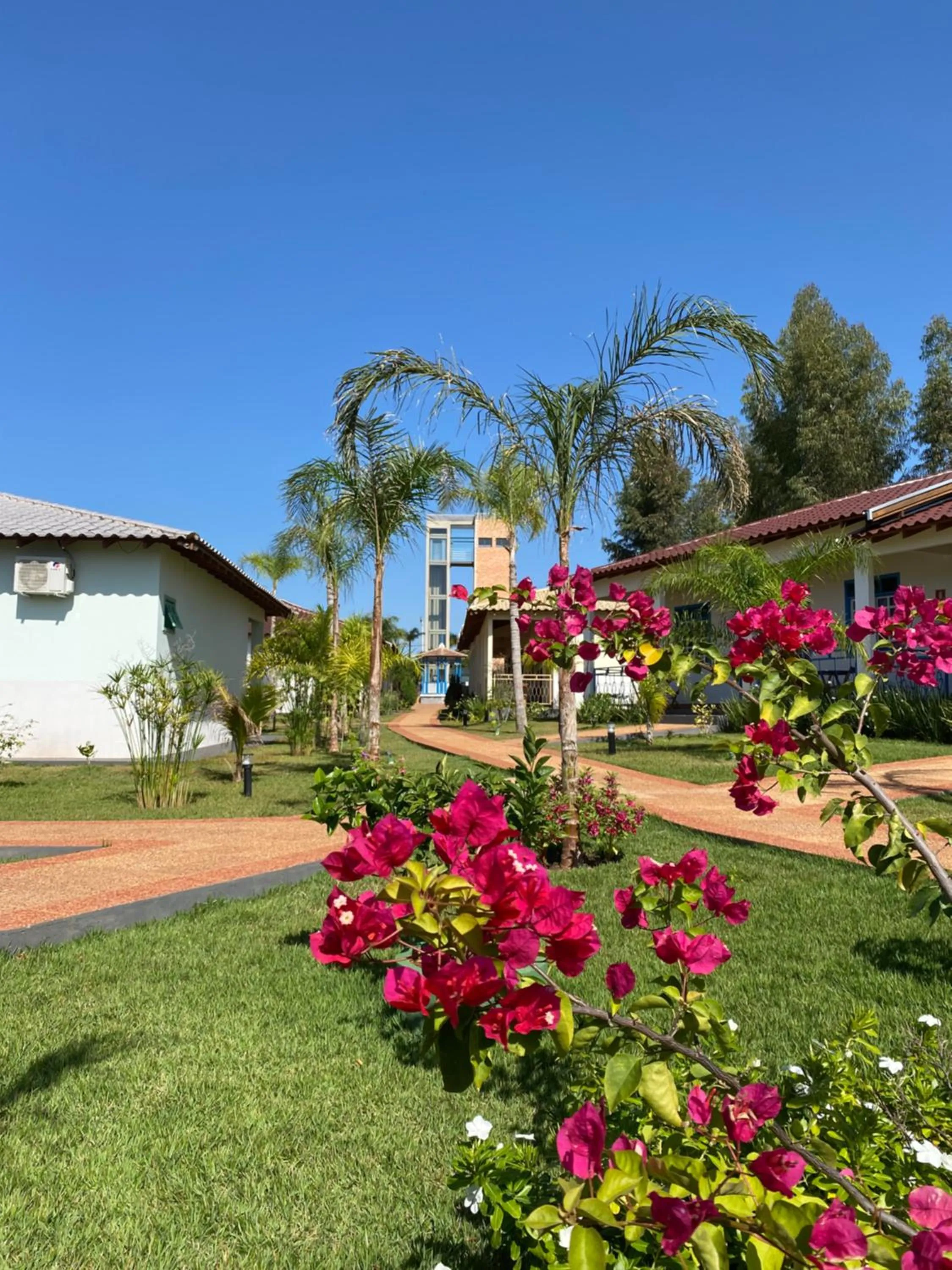 Spring in Pousada Ouro Preto de Bonito