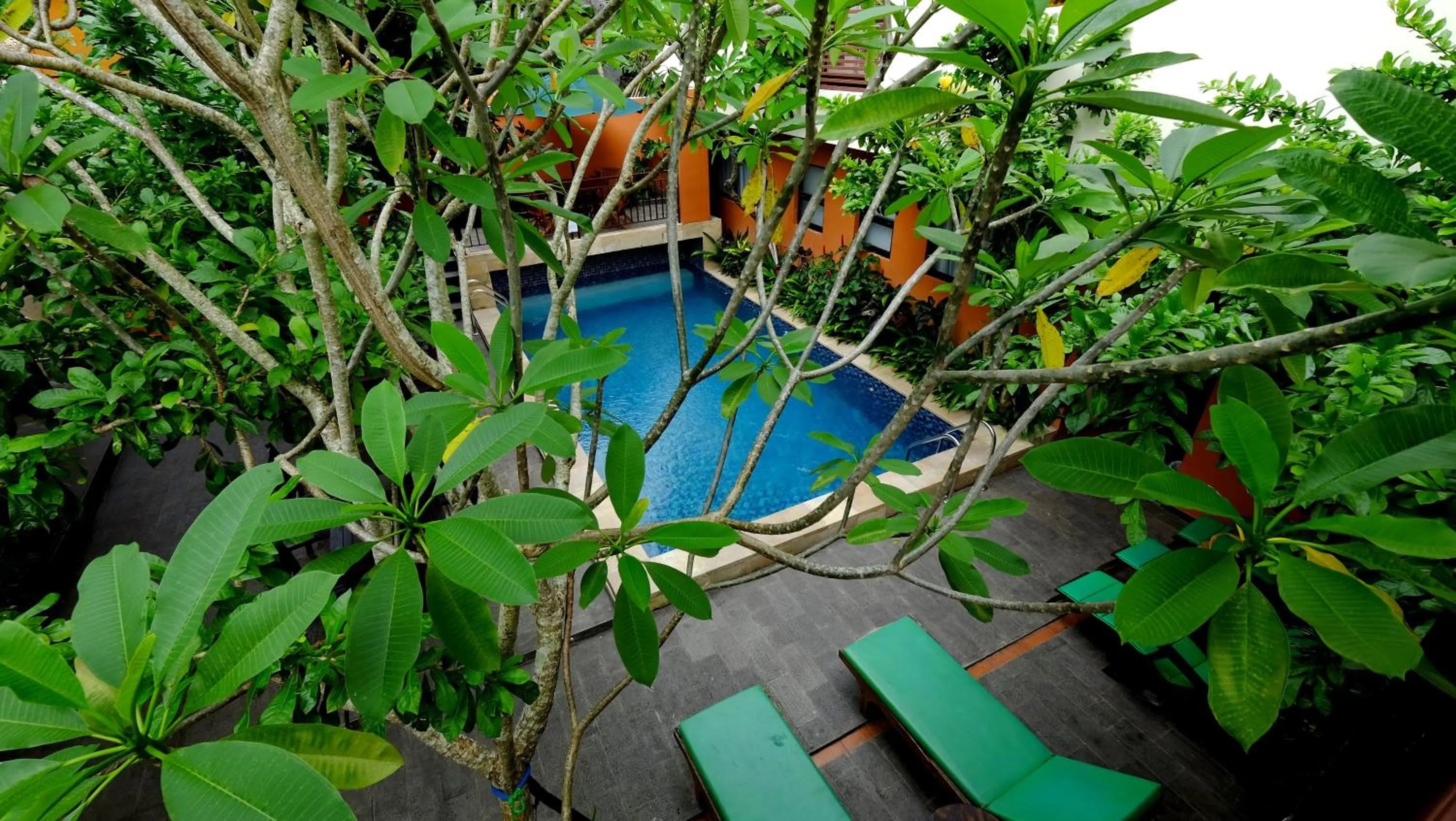 Day in The Hill Ungasan