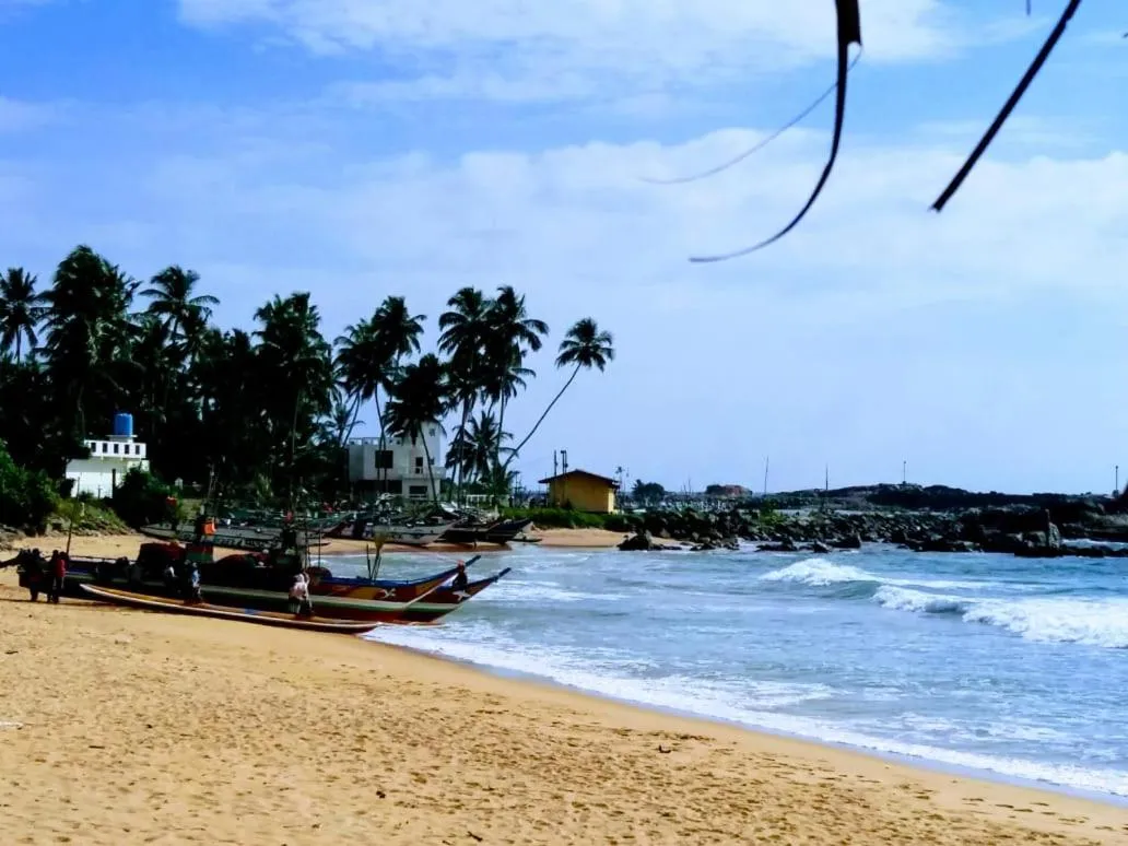 Malika's Yellow House