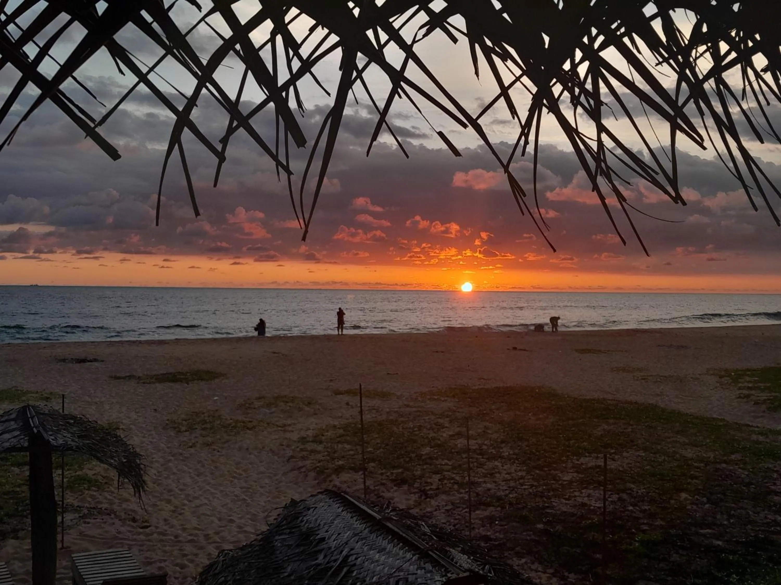 Malika's Yellow House
