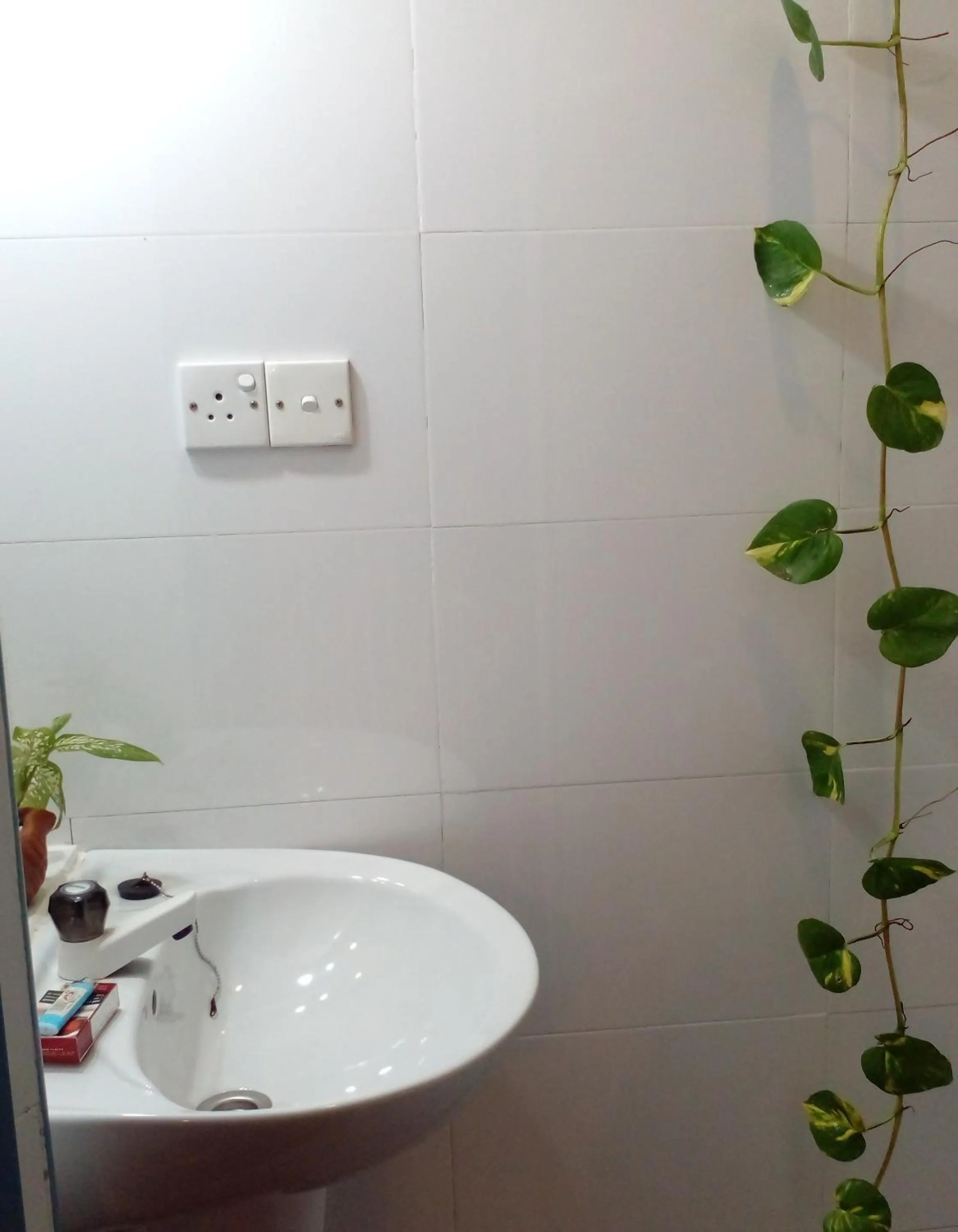 Malika's Yellow House