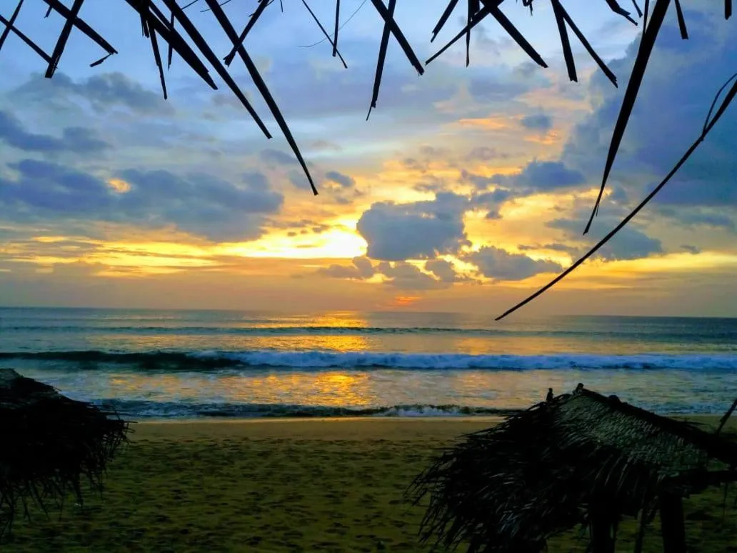 Malika's Yellow House