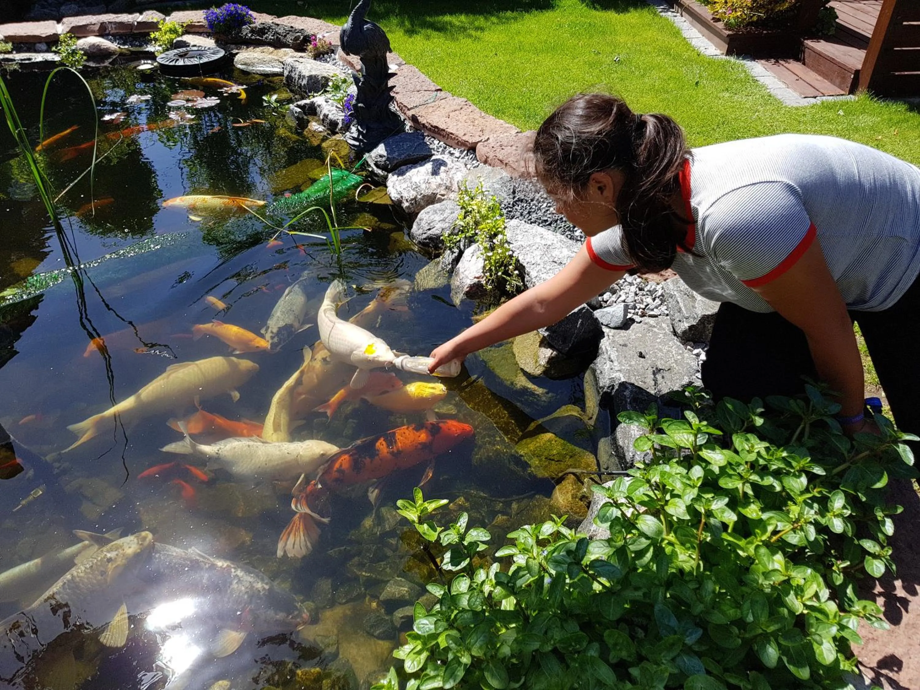 Garden in Ferie På Toppen