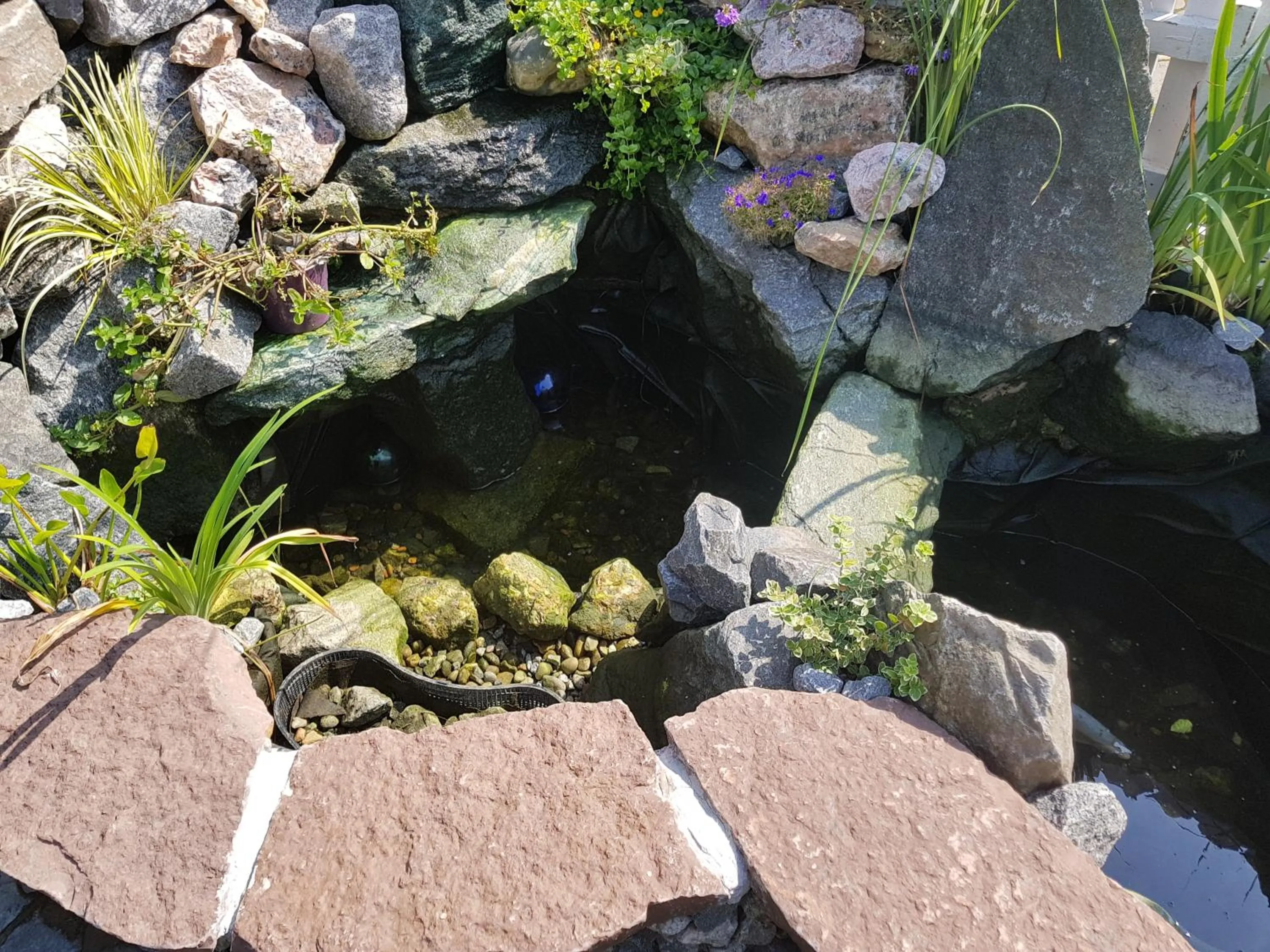 Garden in Ferie På Toppen