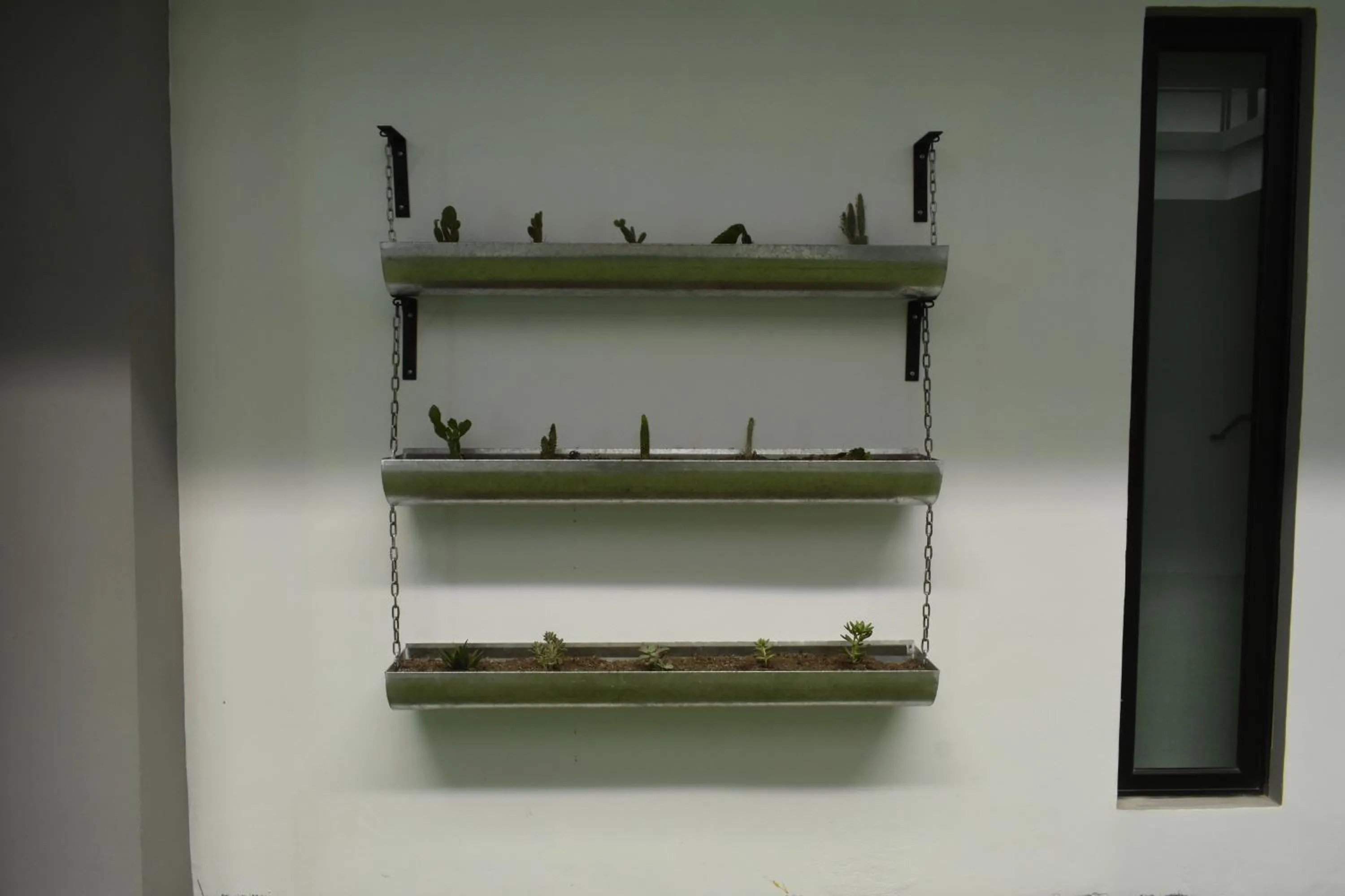 TJ Border Suites by Hosted by Me