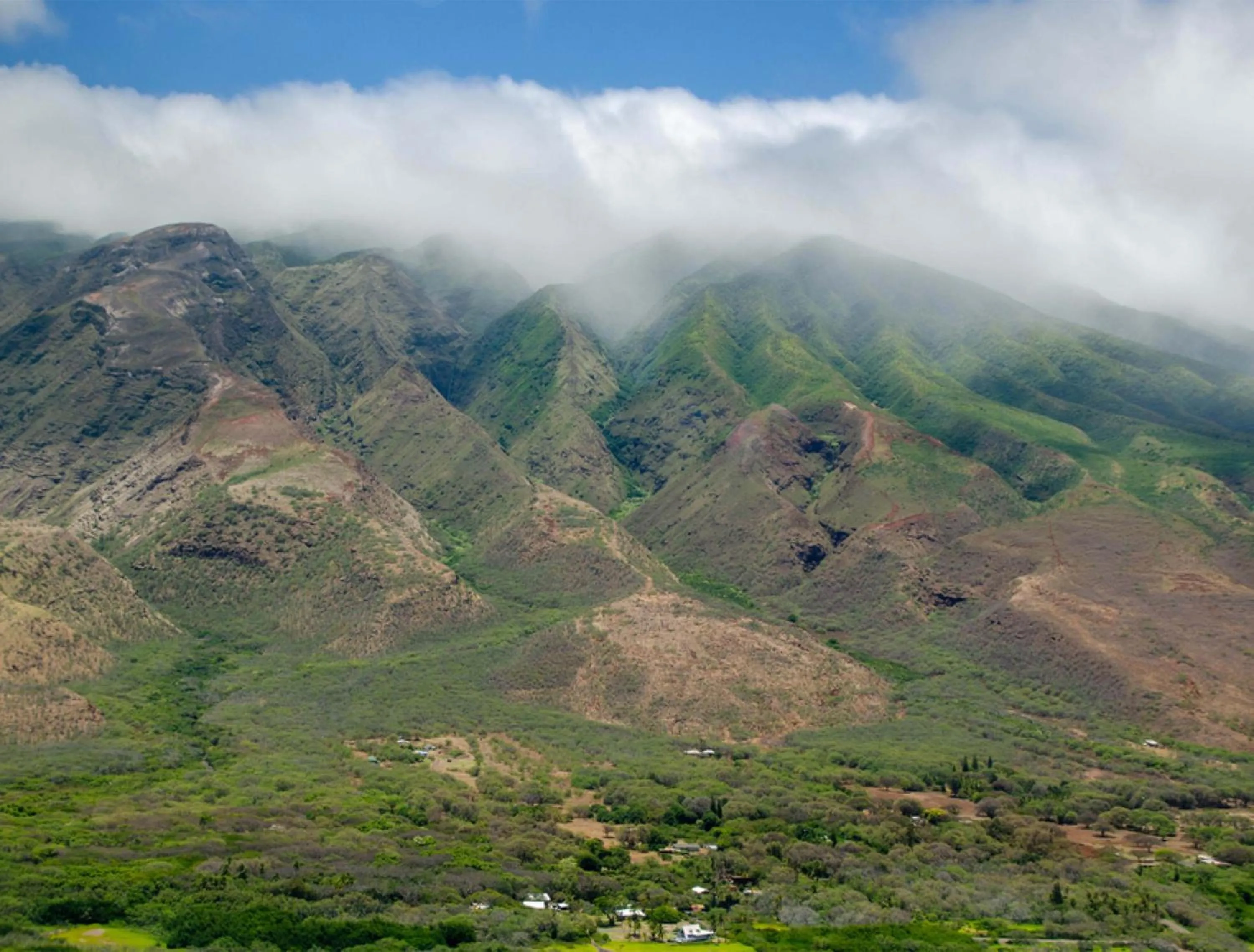 Natural landscape in Hotel Moloka'i