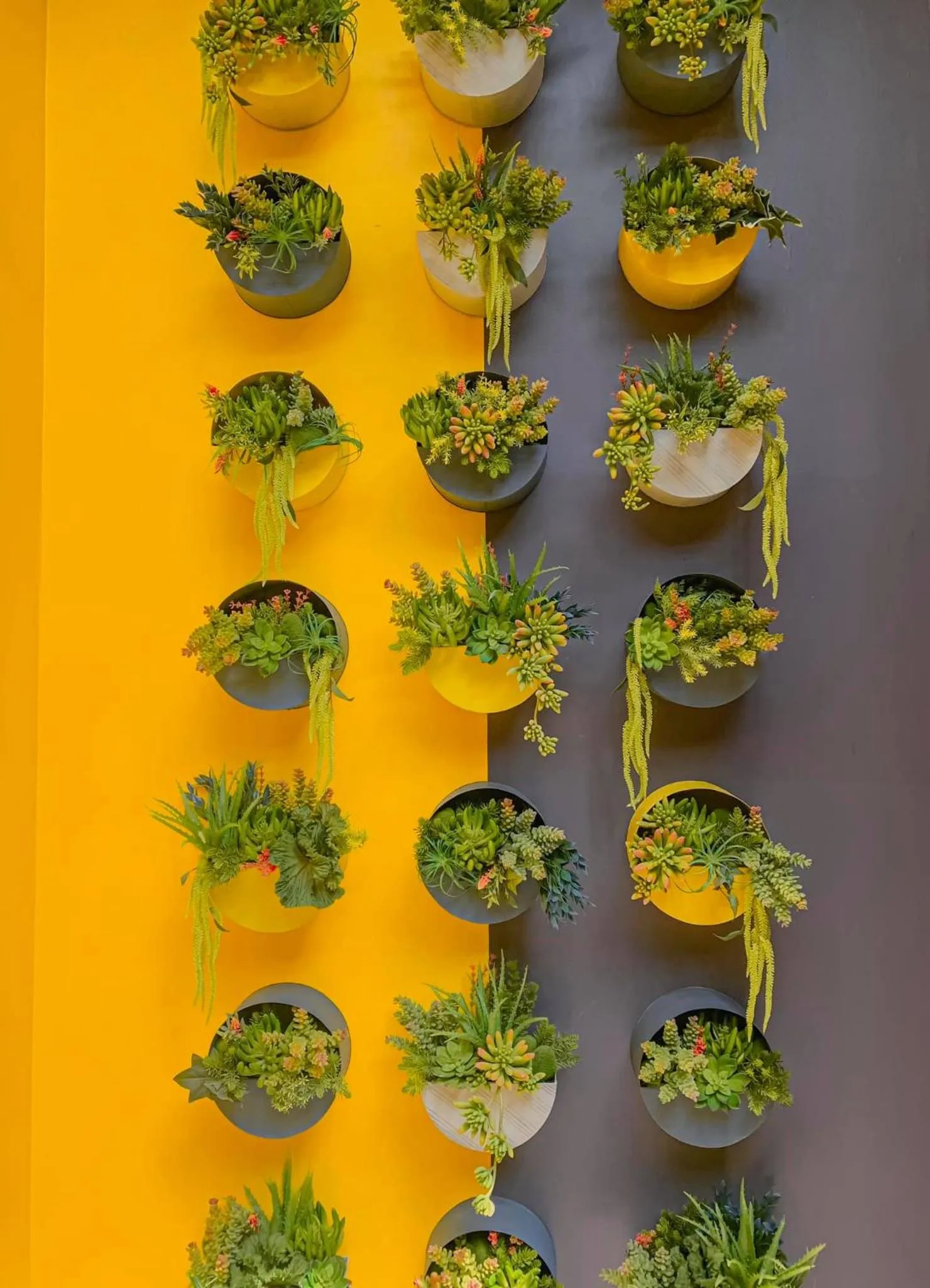 Decorative detail in The Twizt - Lifestyle Hostel & Hotel