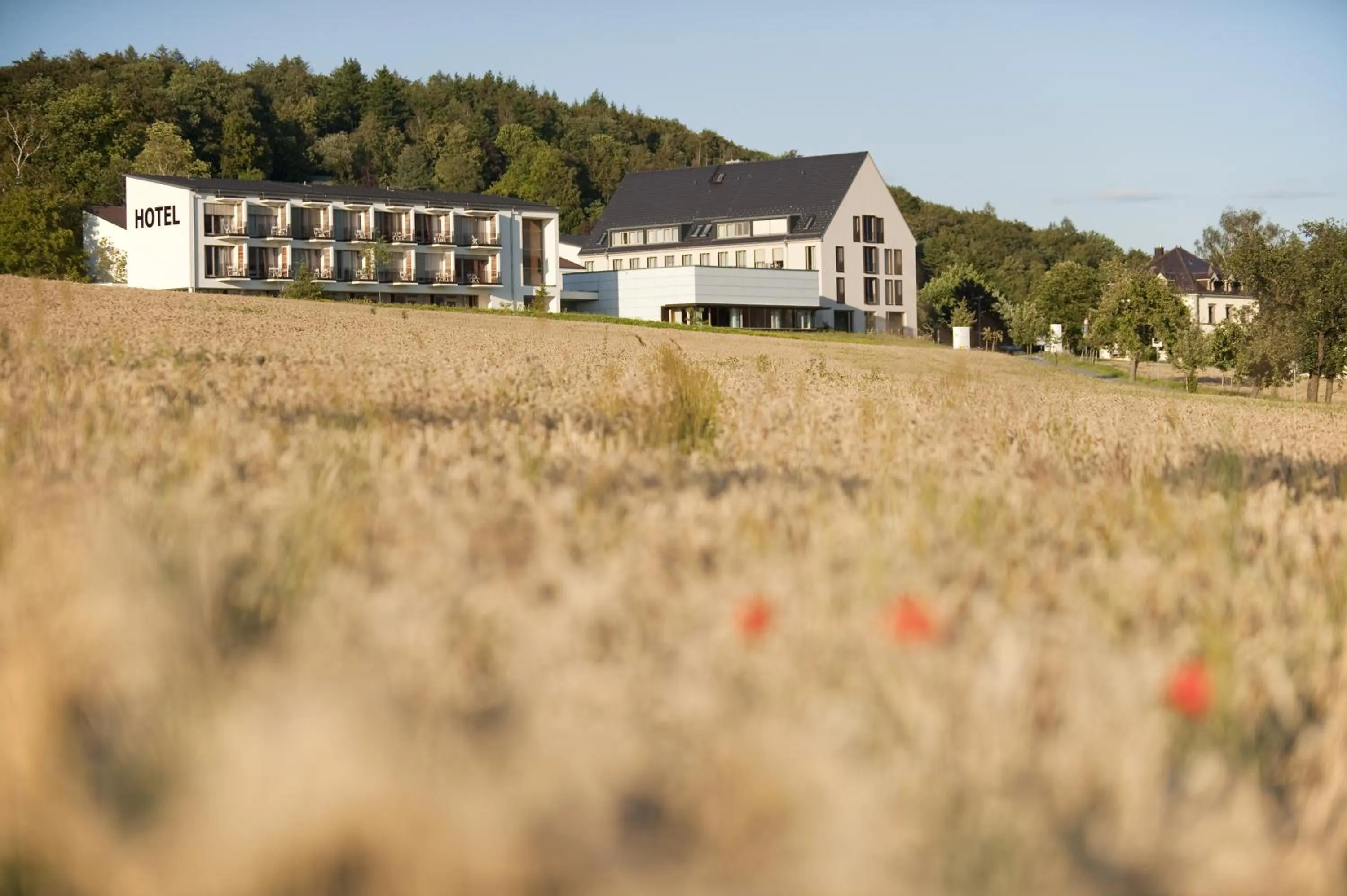 Natural landscape in Hotel St Elisabeth
