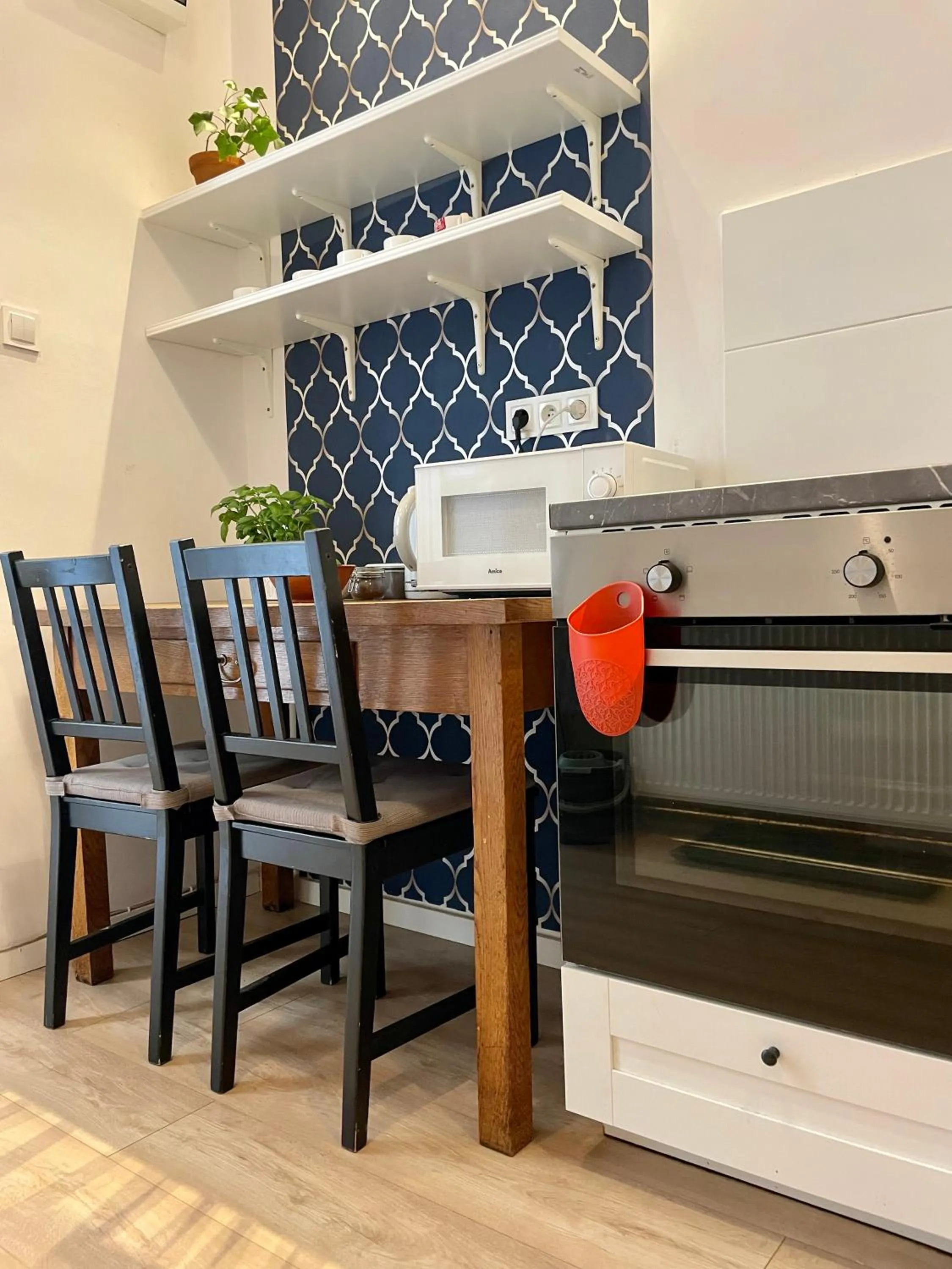 Kitchen or kitchenette in Roller Aparthotel