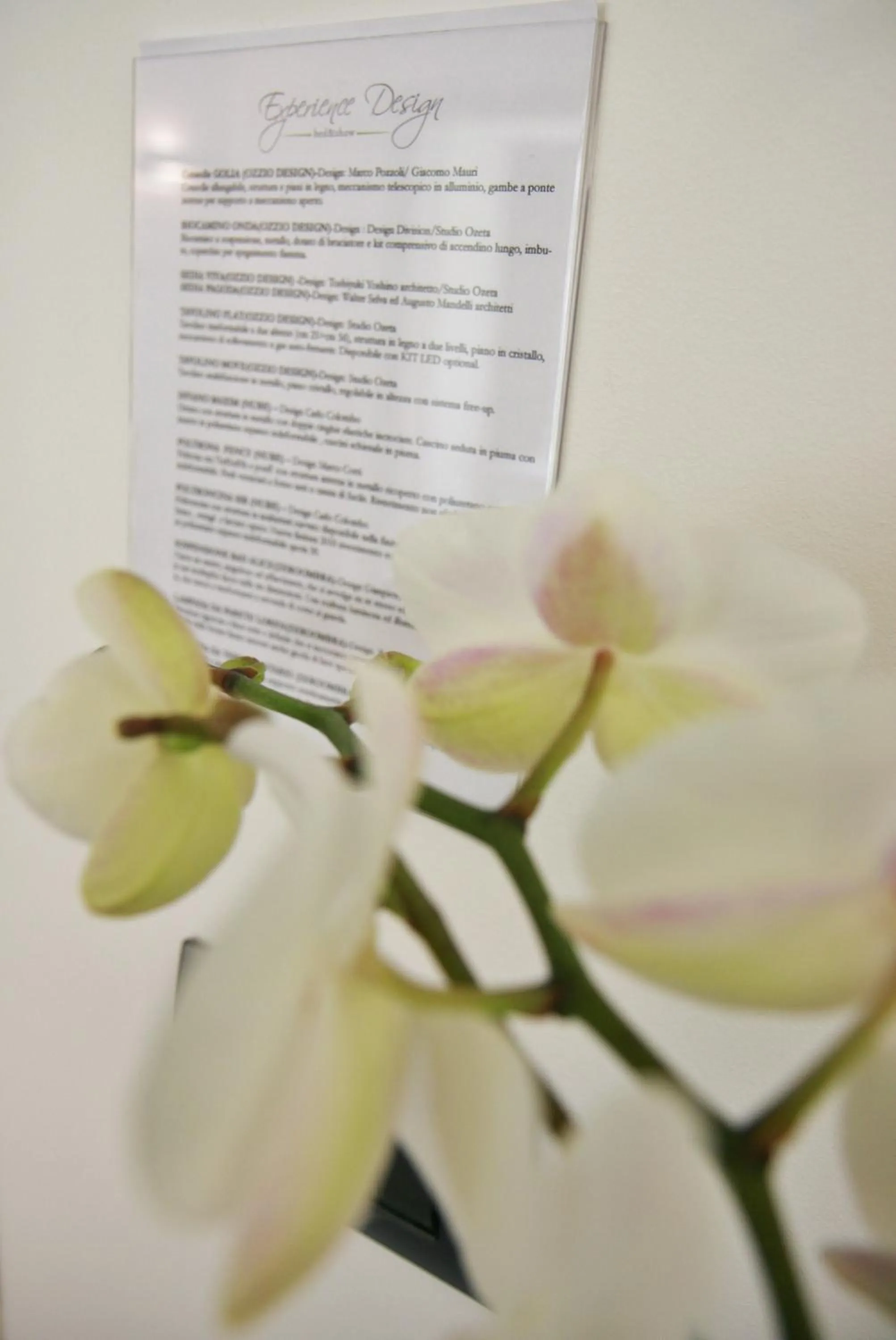 Communal lounge/ TV room in Experience Design Bed&Show