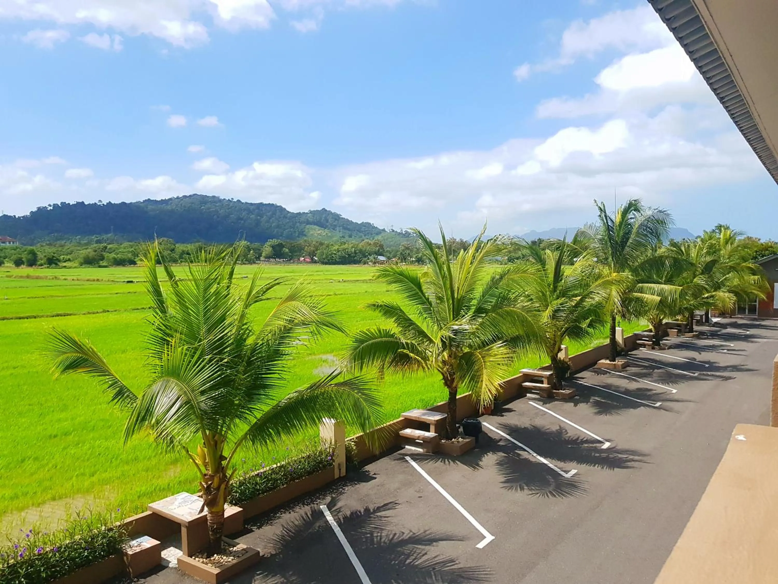 DVilla Guesthouse Langkawi