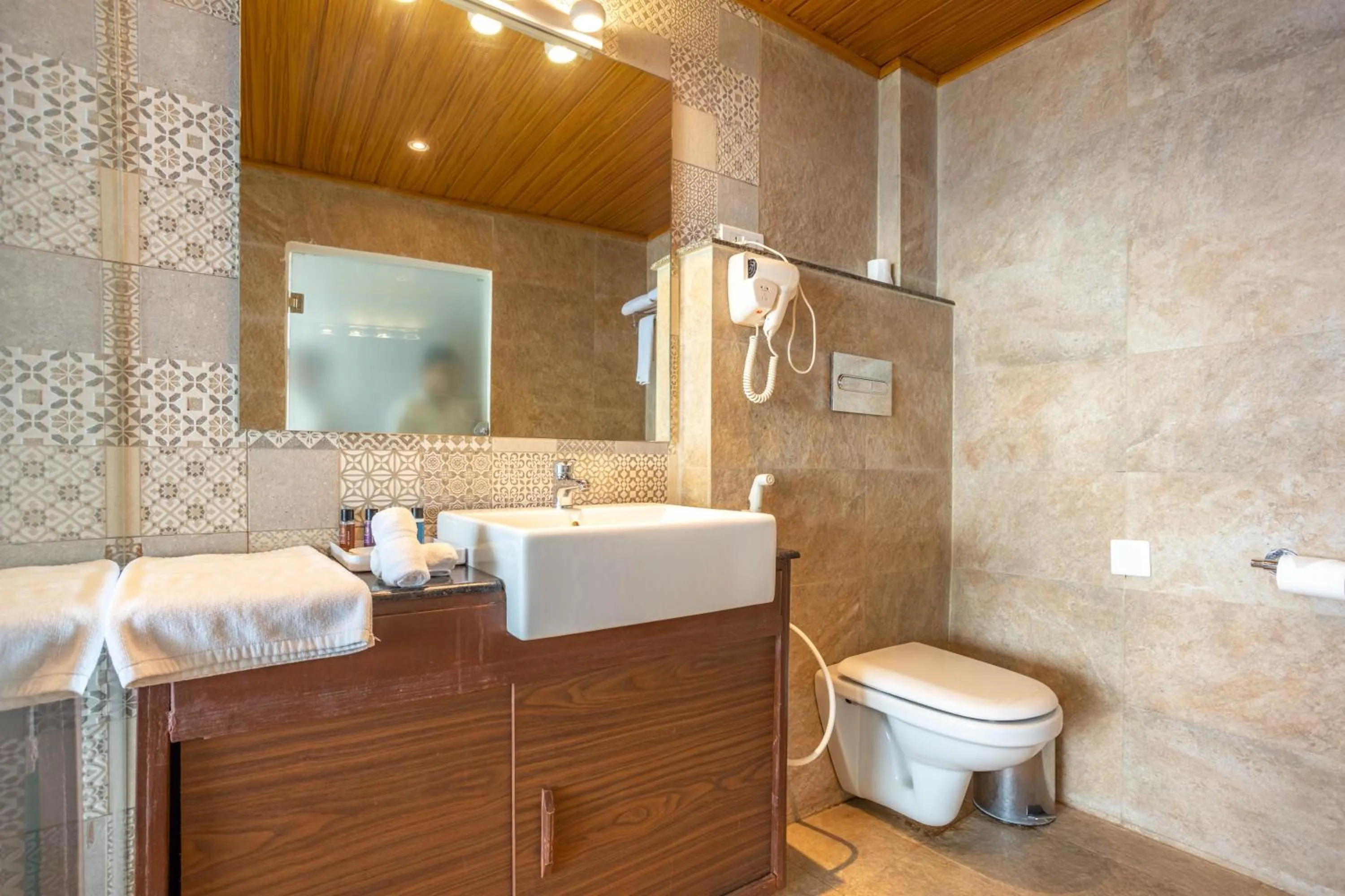 Toilet in Aagantuk Resort