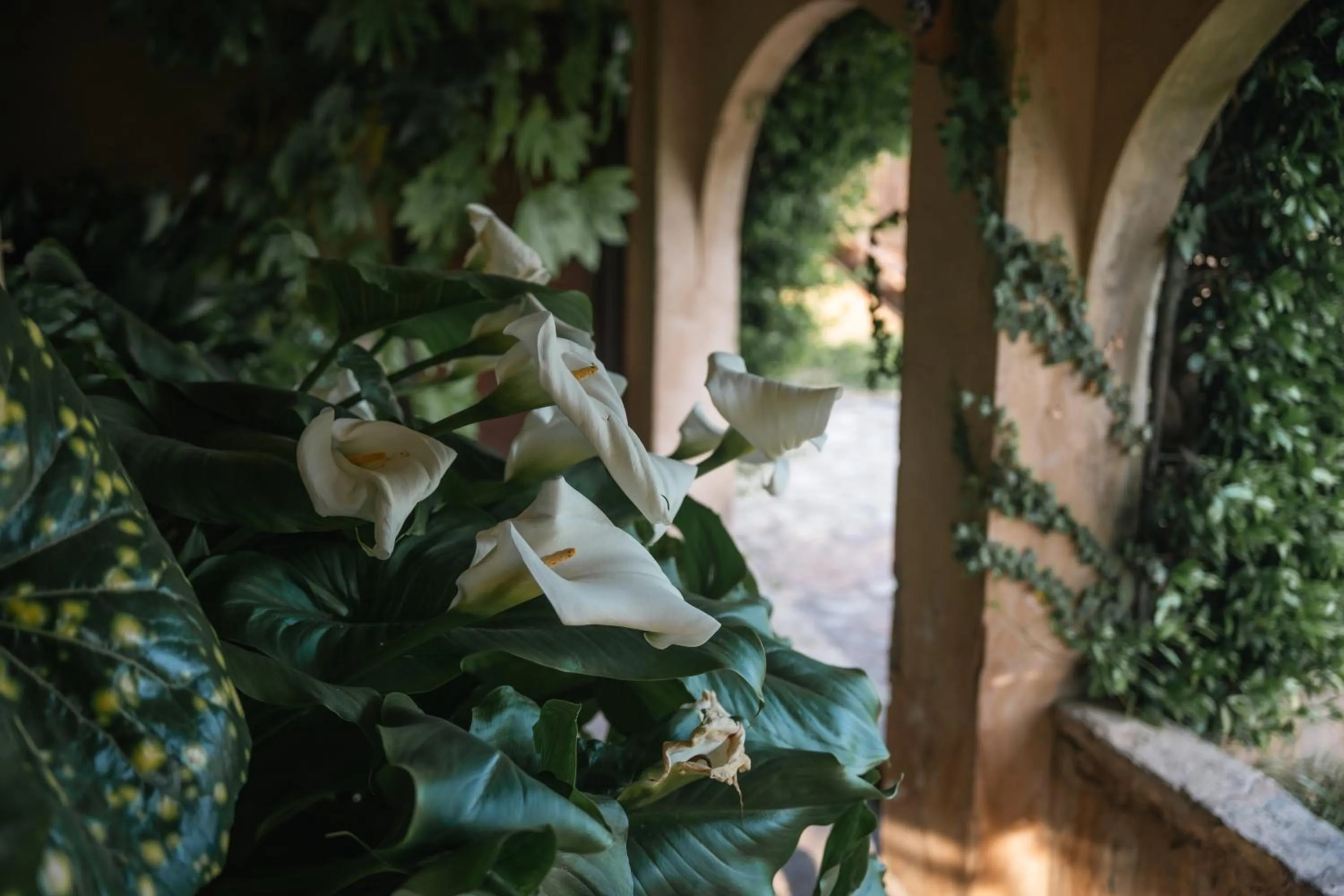 Hotel Hort De Fortunyo