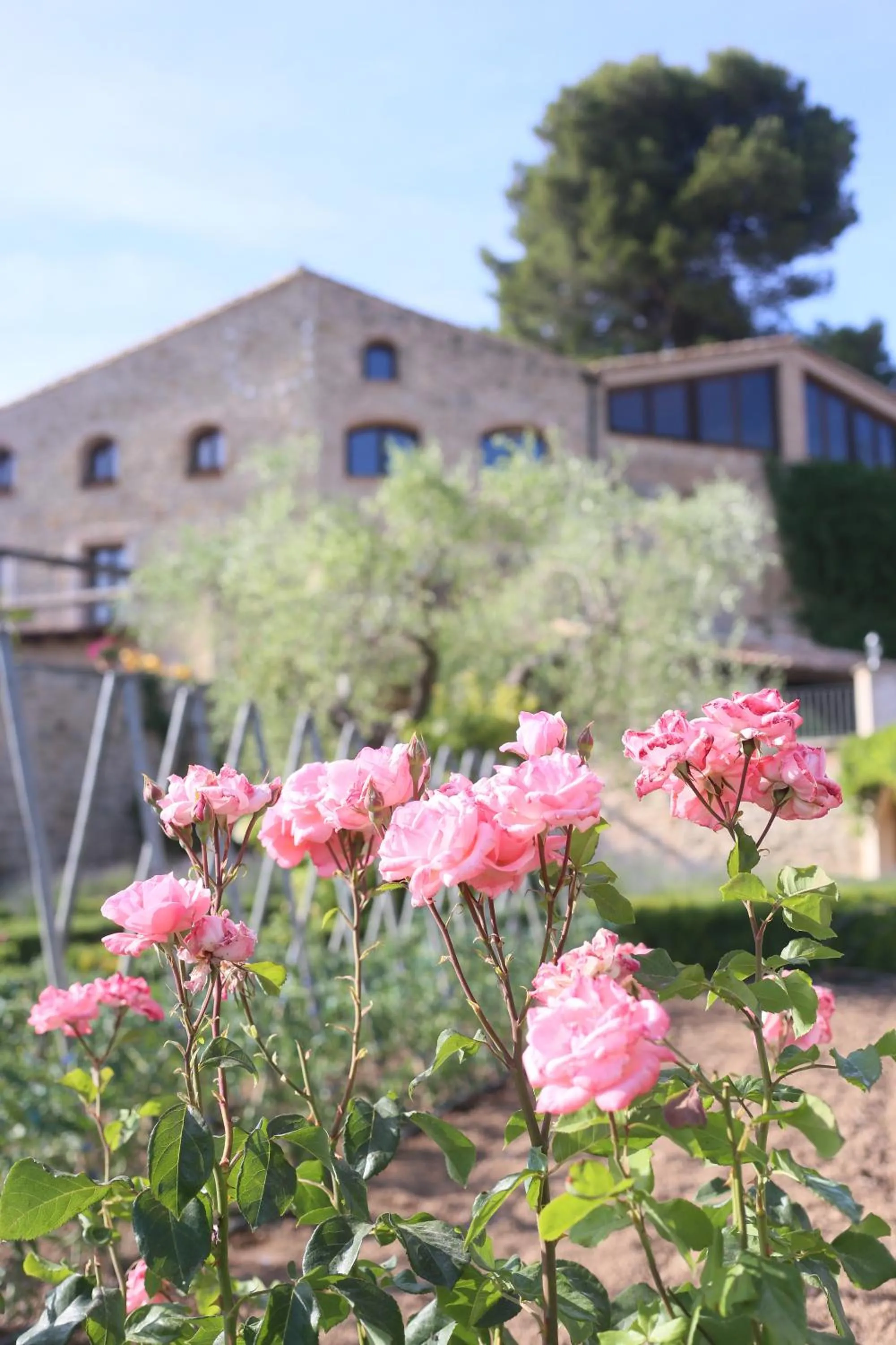 Patio in Hotel Hort De Fortunyo