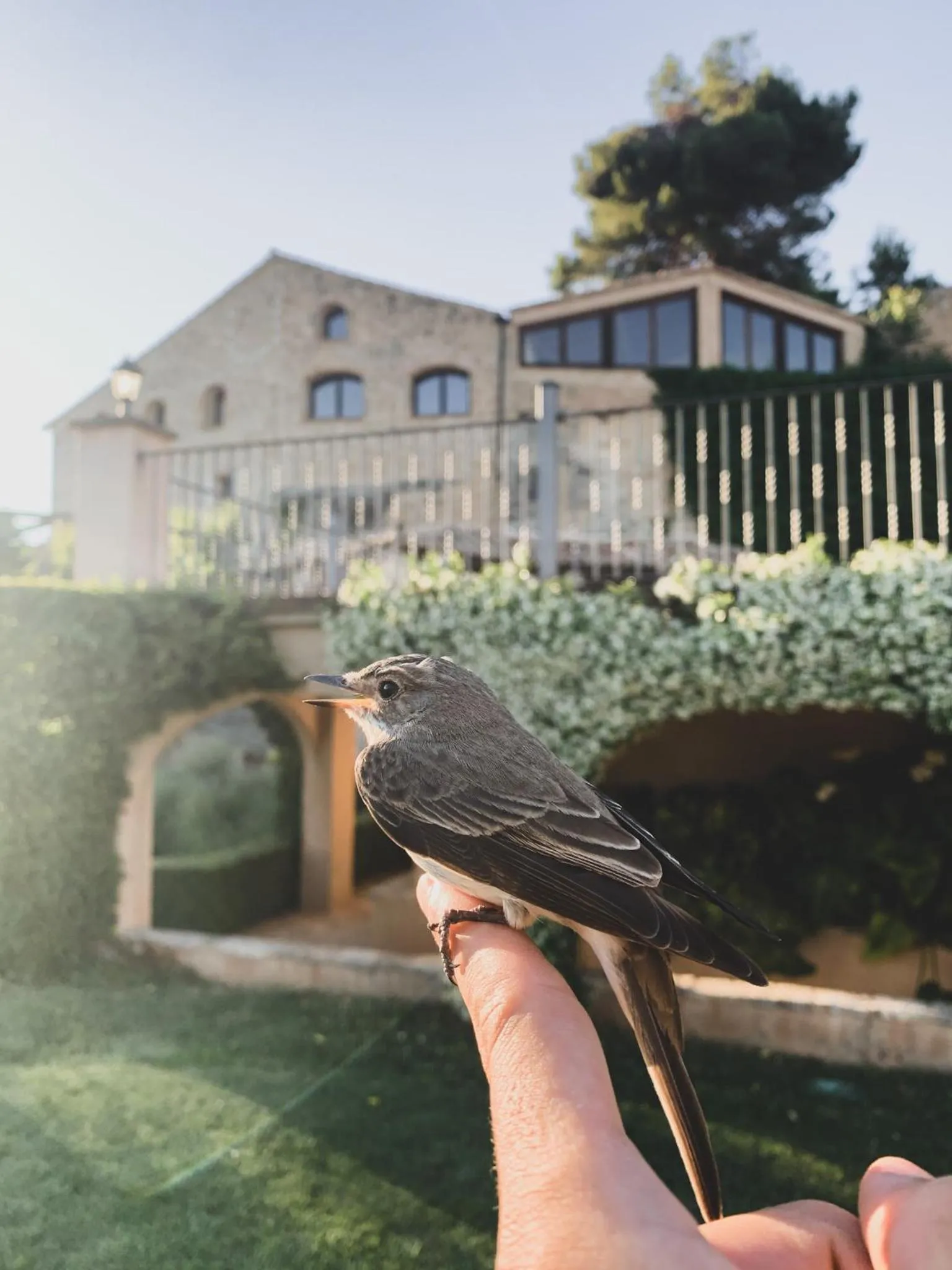 Property building in Hotel Hort De Fortunyo