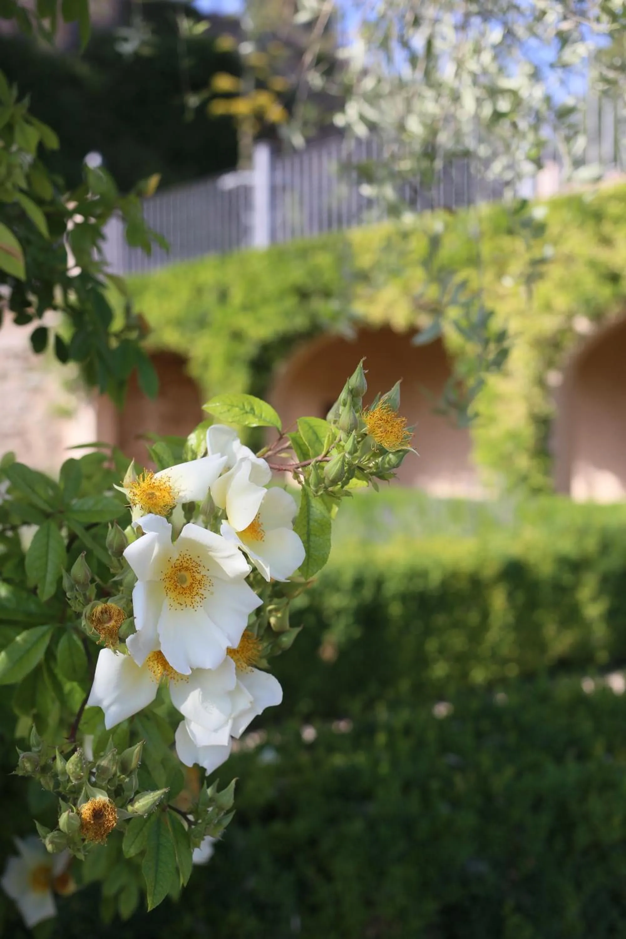 Hotel Hort De Fortunyo