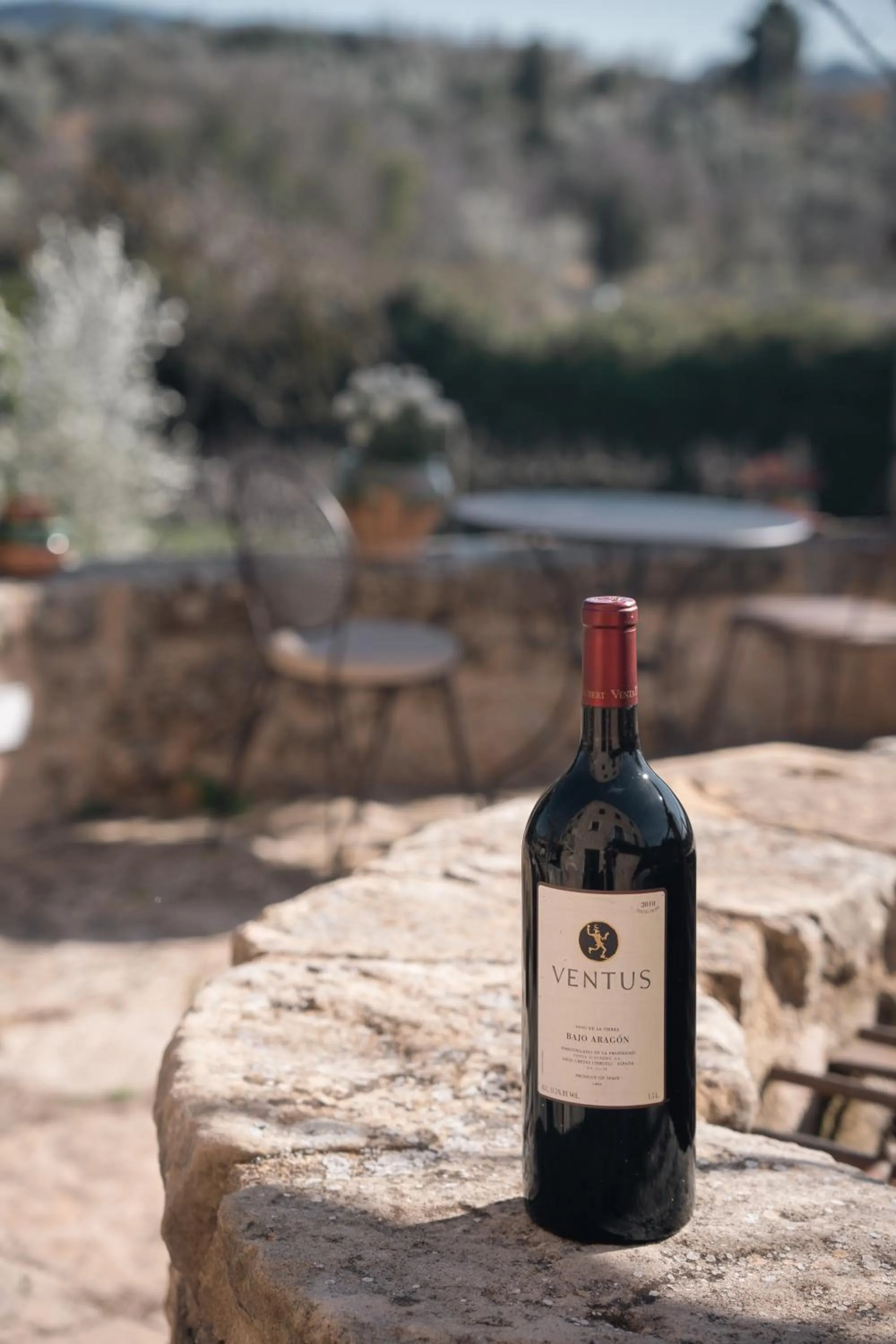 Hotel Hort De Fortunyo