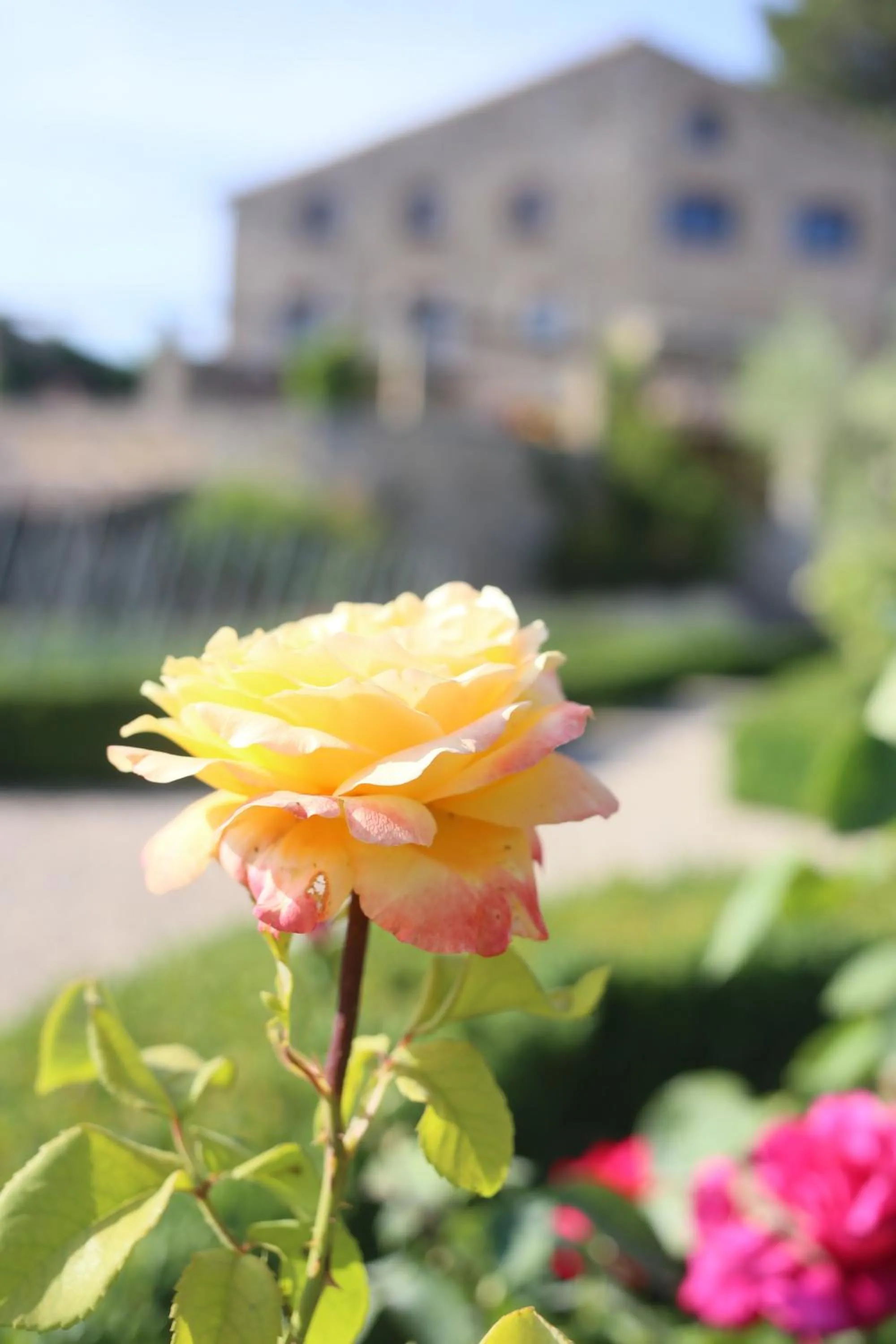 Hotel Hort De Fortunyo