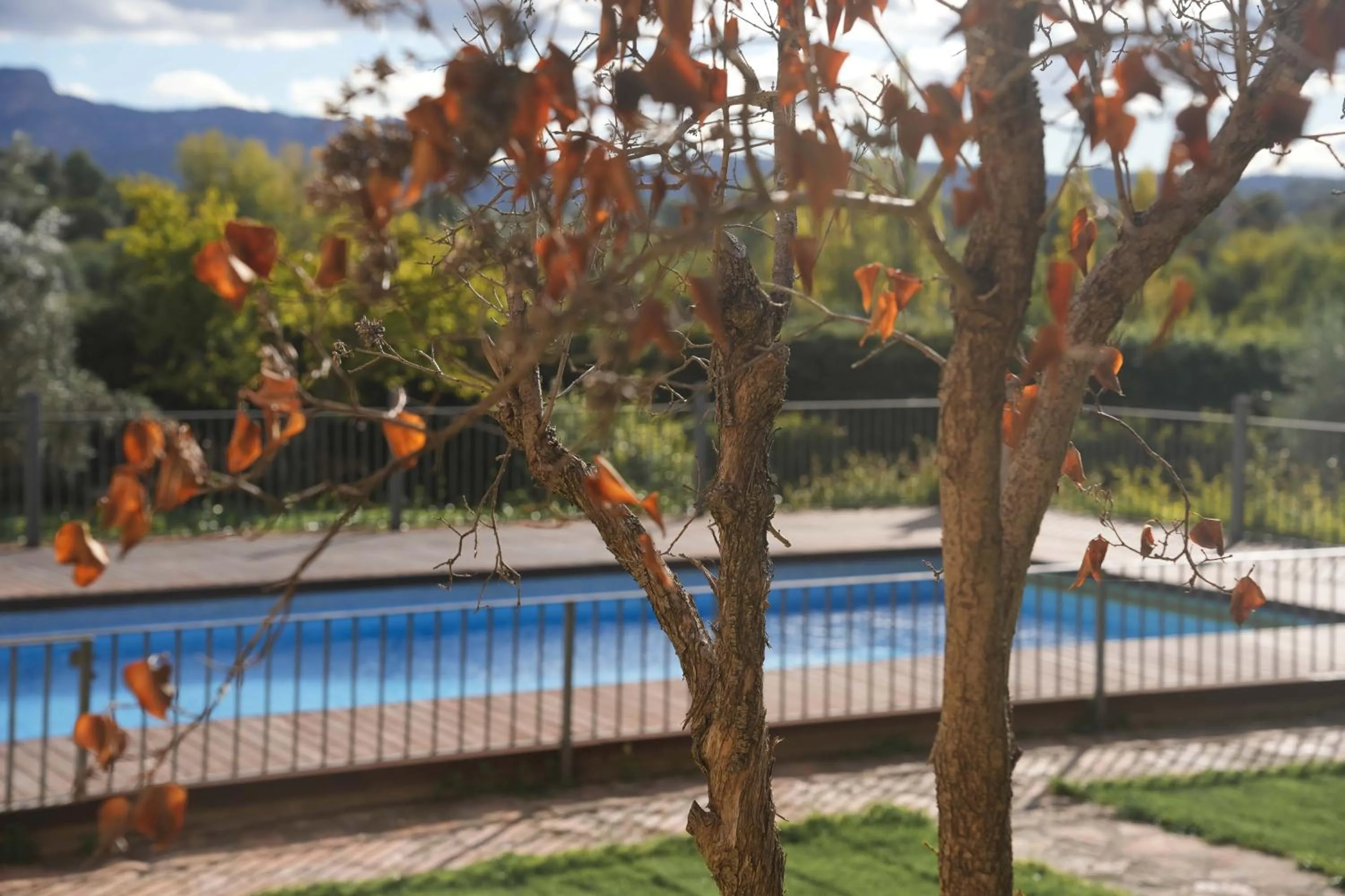 Hotel Hort De Fortunyo