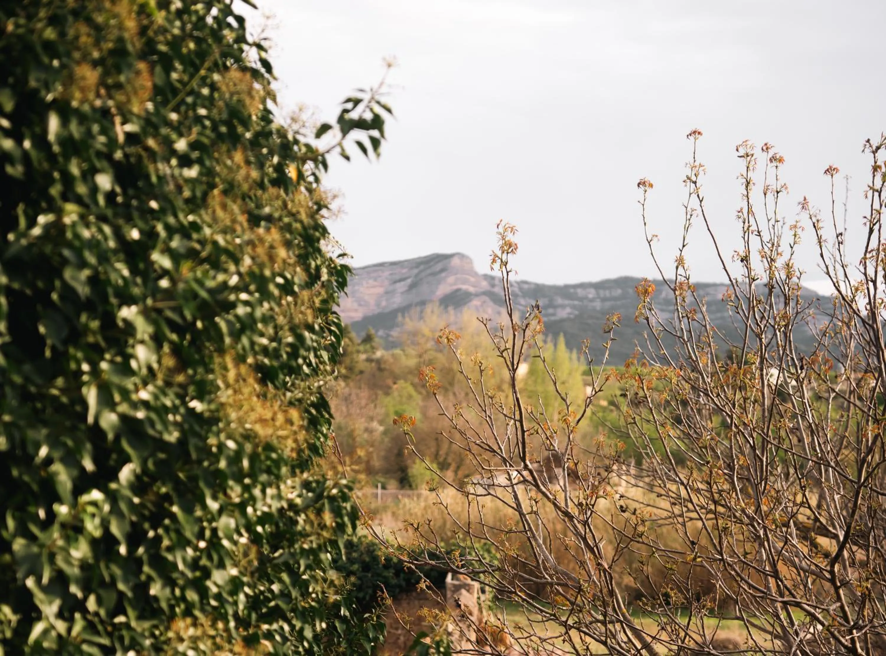 Hotel Hort De Fortunyo