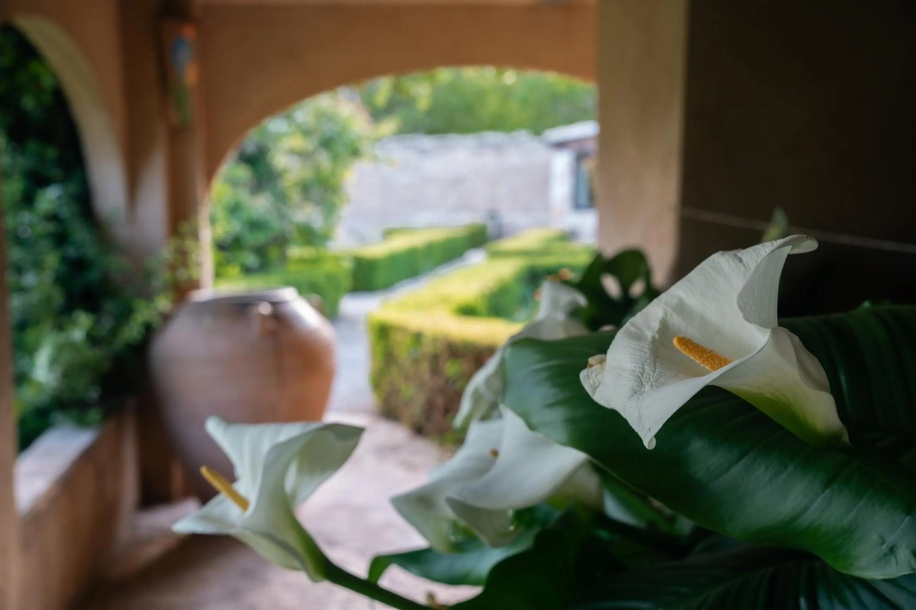 Hotel Hort De Fortunyo