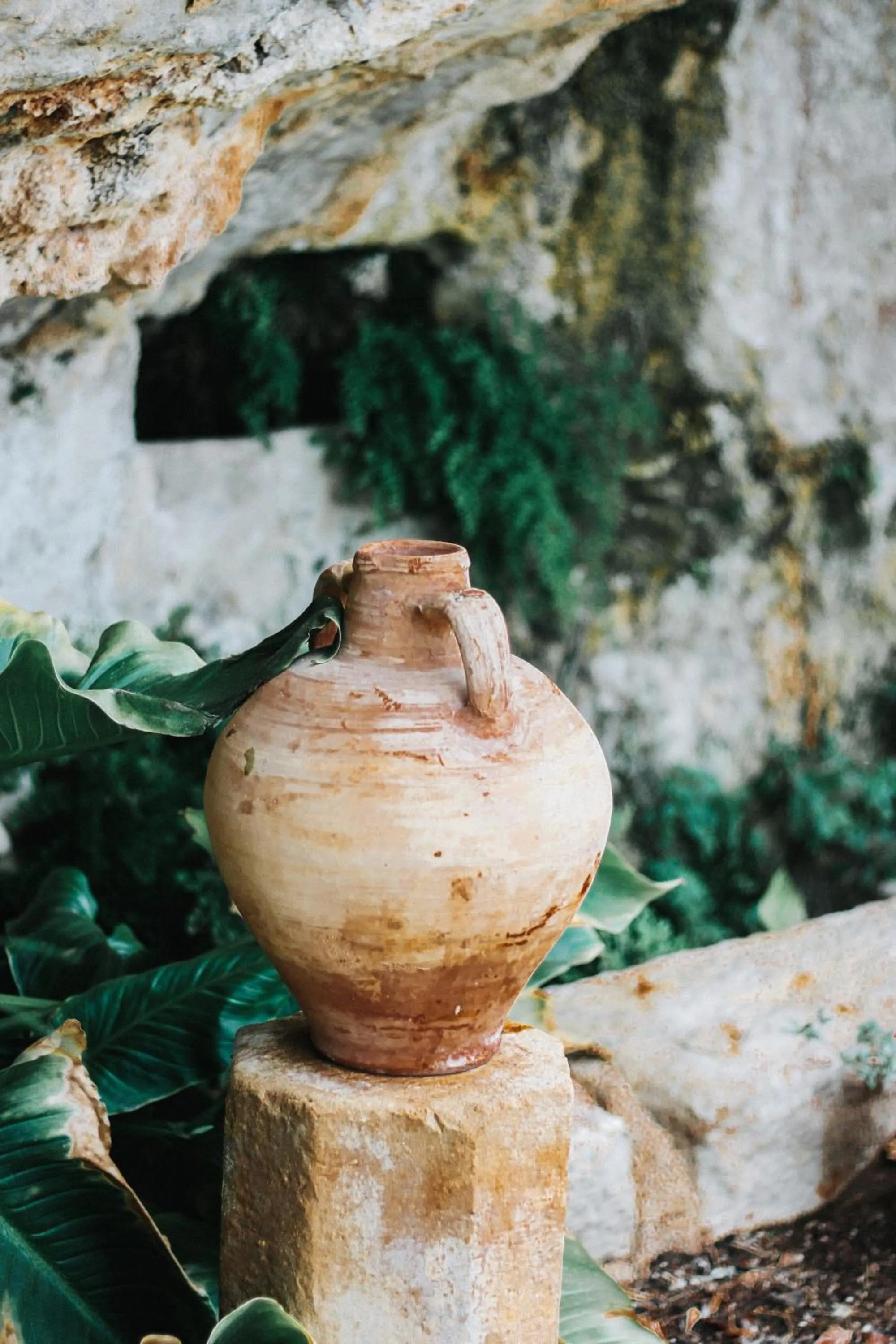 Hotel Hort De Fortunyo