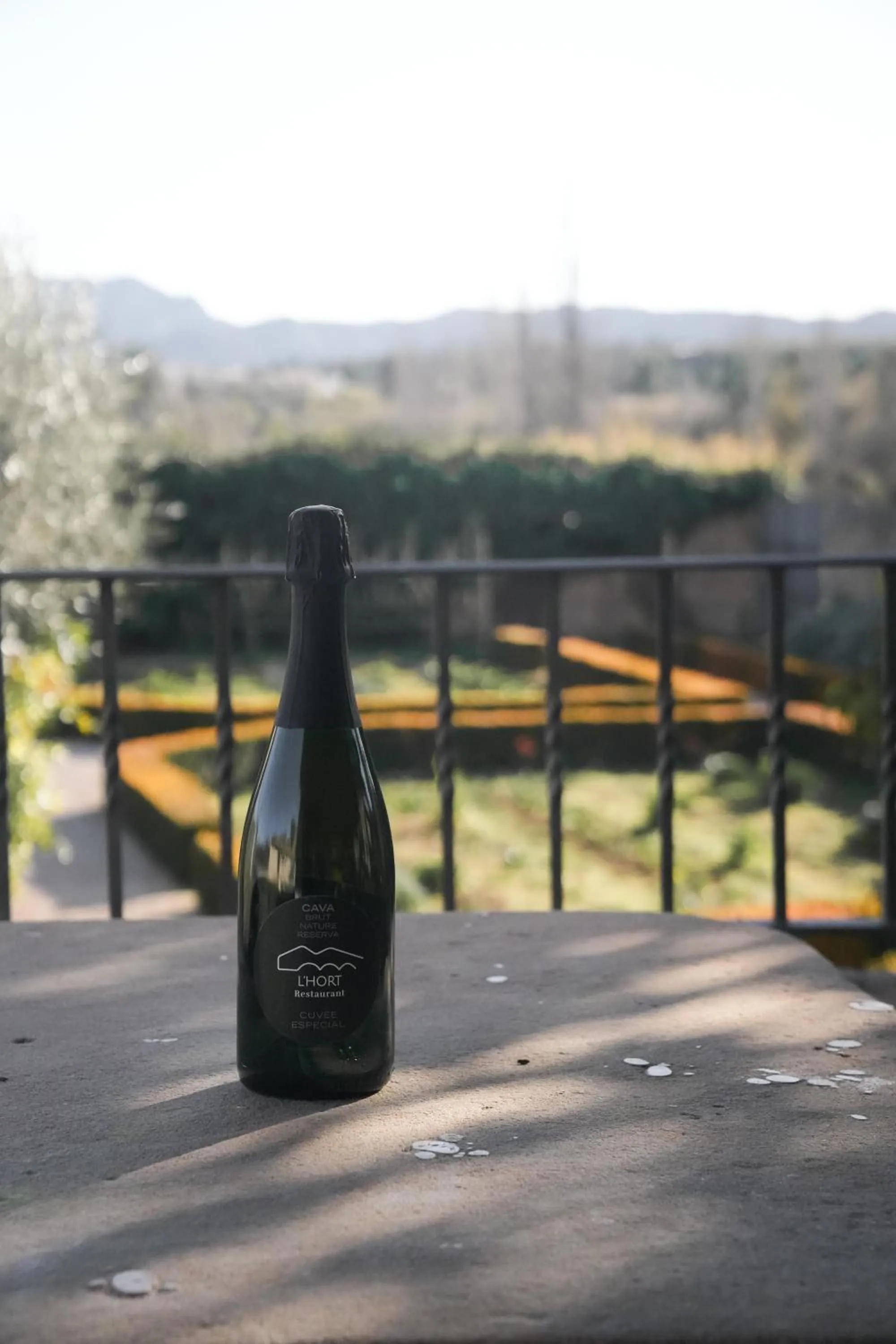 Property building in Hotel Hort De Fortunyo