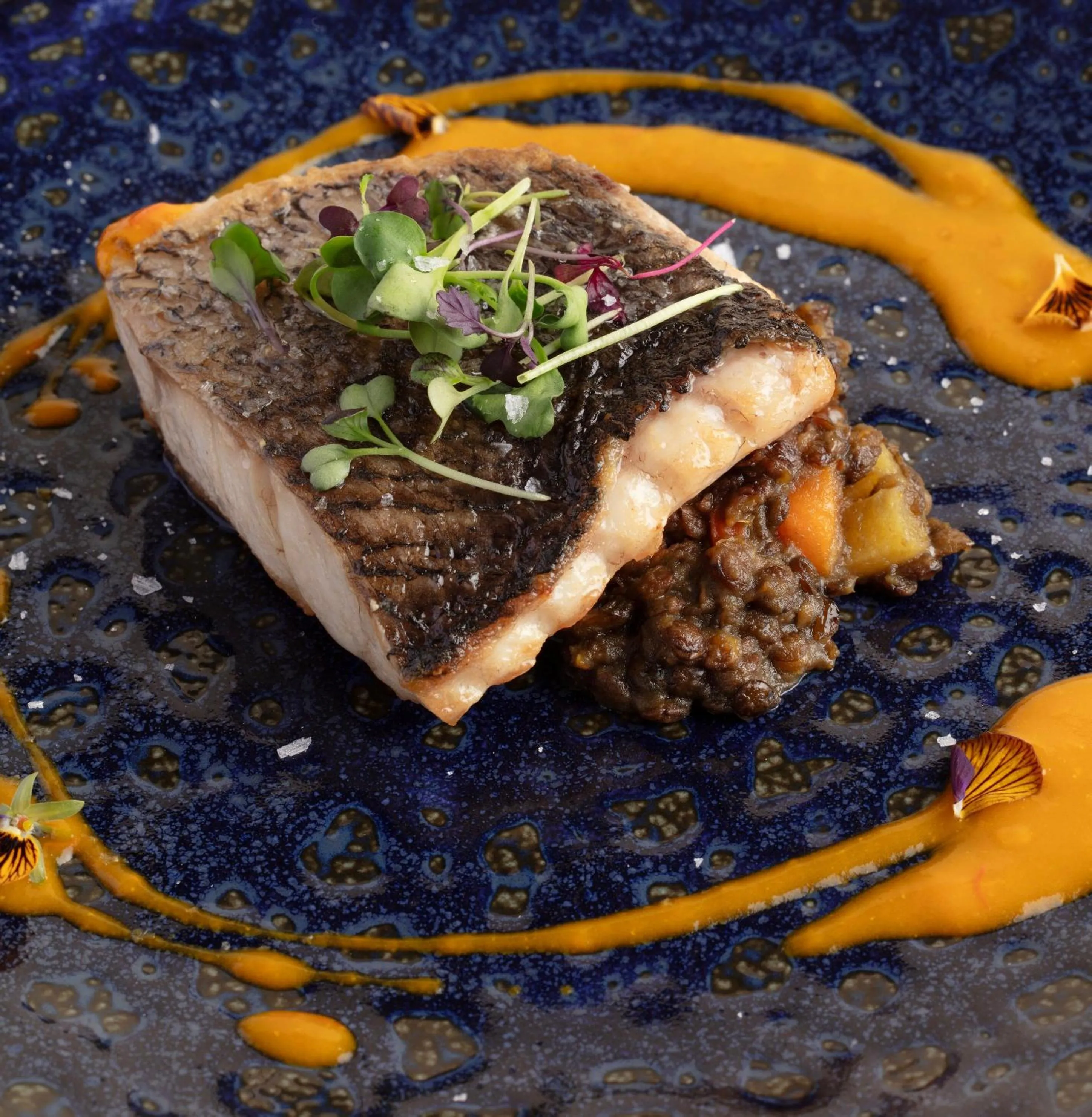 Restaurant/places to eat in Hotel Hort De Fortunyo