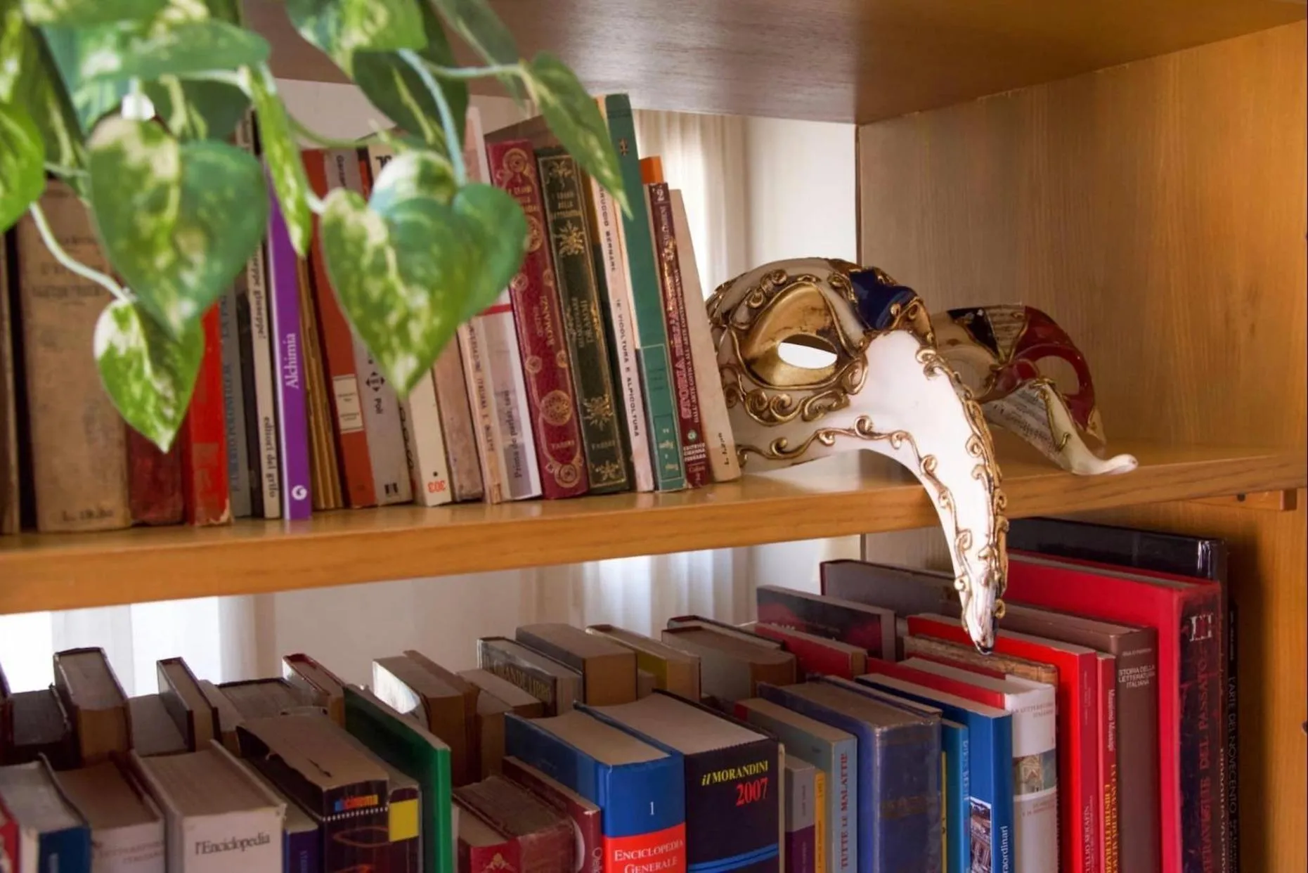 Library in Anzolo Palace - Rooms & Apartments