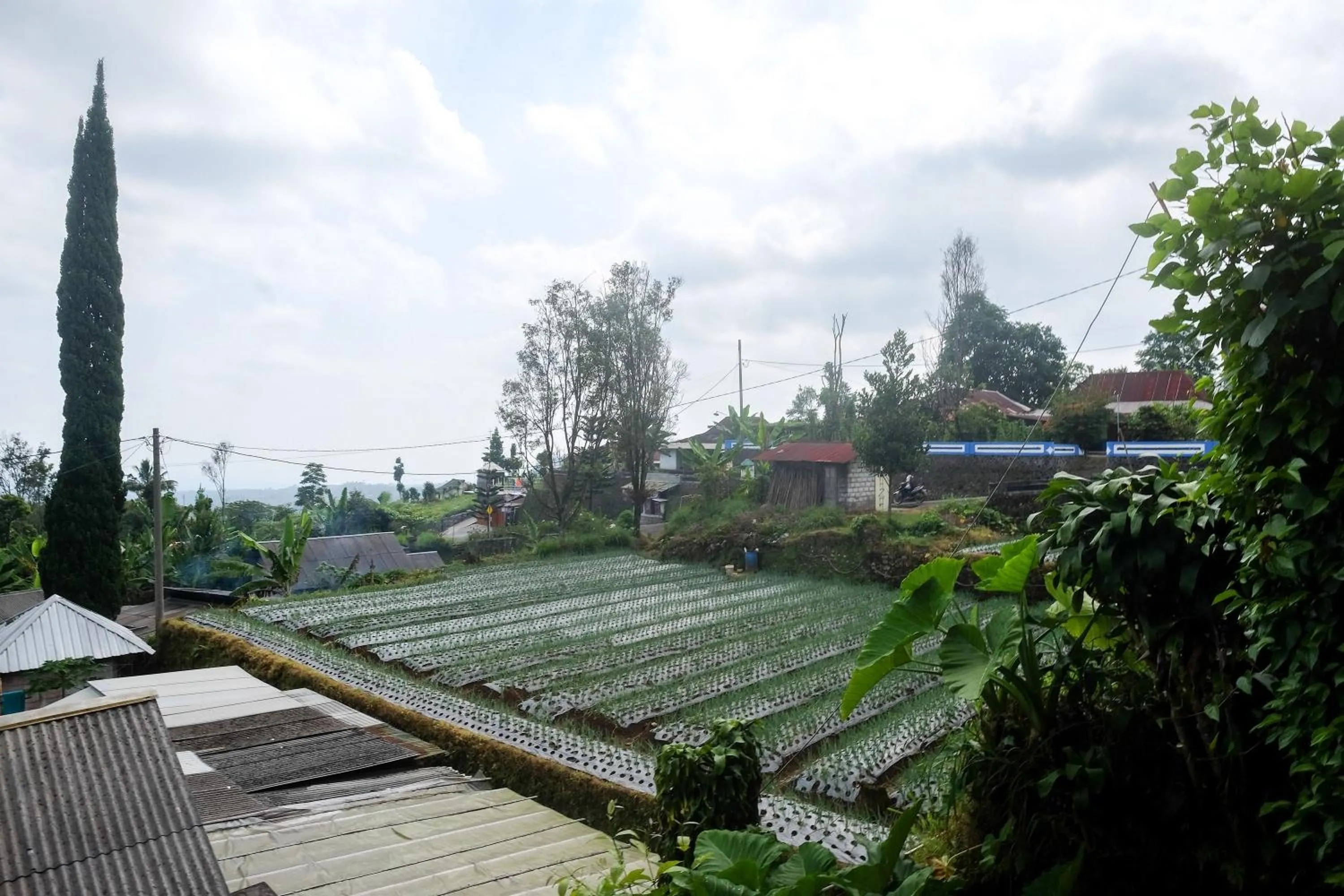 Natural landscape in RedDoorz near Candi Sukuh Karanganyar