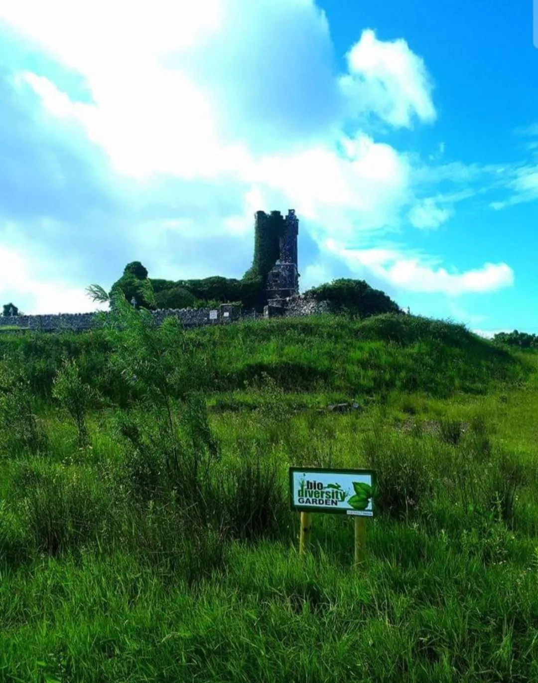 Natural landscape in Church View House F56H977
